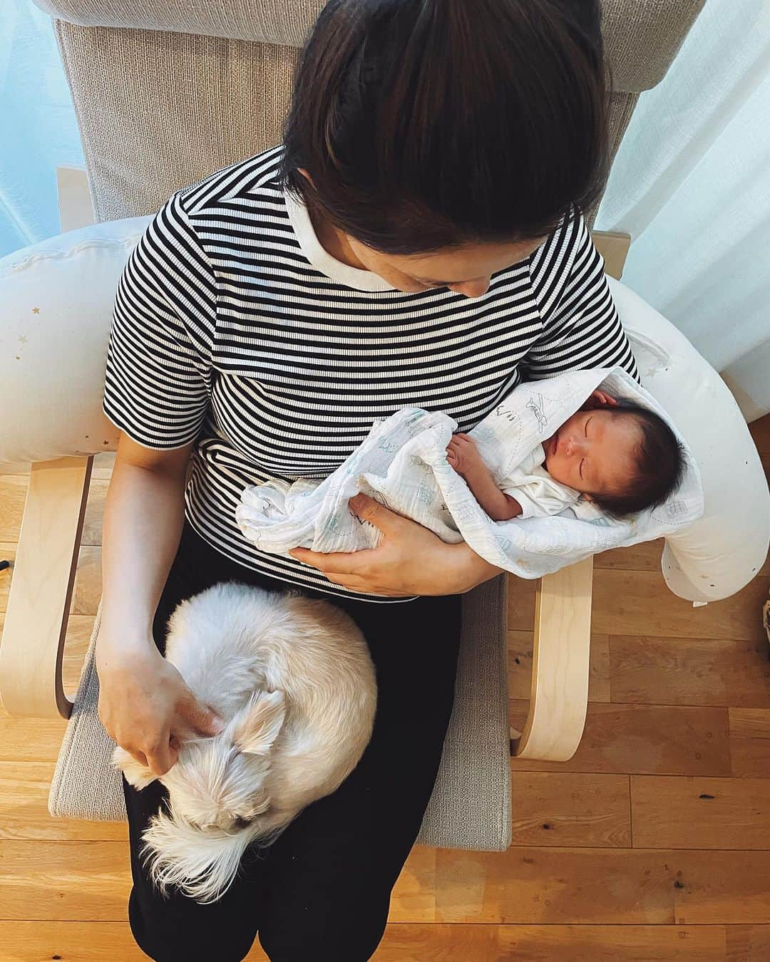 菊地舞美さんのインスタグラム写真 - (菊地舞美Instagram)「👶🏻🐶 ___________________________ ⁡ ⁡ （急遽ダイニングテーブルの上にベッドを置いてます😂お許しください🙇‍♀️🙇‍♀️） お待ちかね 姉「てるみ」の反応です🐶 ⁡ ⁡ ▶️1、2枚目 初日。初対面👶🏻🐶 ⁡ ピーピー泣いてるし なんか動いてるし なにこれ😨 ⁡ と恐怖と不安で逃げ回る🫨 ⁡ ⁡ ▶️3枚目 2日目の今日 すこーしずつ🤏距離を縮める👶🏻🐶 ⁡ ⁡ ▶️4、5枚目 自分からベッドに近づいて行き、 前足でペちっと触ってみる。 ⁡ ⁡ ▶️6枚目 授乳後、椅子に登って 触りはしないけど見下ろしてみる🐶 ⁡ ⁡ 夜間授乳の時も、泣いてる時も おむつ替えの時も 毎回後ろをついてきて 伏せして見守るてるみ🐶 ⁡ ⁡ まだ「仲良し🤝」ではありませんが、 いつかその日が来ることを 願ってます🫶🏻 ⁡ —— #justborn #justbornbaby #新生児  #犬と新生児」6月30日 19時42分 - maimi_kikuchi_reborn