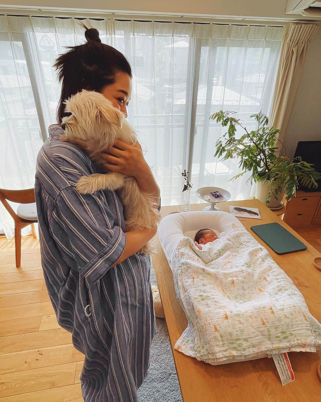 菊地舞美さんのインスタグラム写真 - (菊地舞美Instagram)「👶🏻🐶 ___________________________ ⁡ ⁡ （急遽ダイニングテーブルの上にベッドを置いてます😂お許しください🙇‍♀️🙇‍♀️） お待ちかね 姉「てるみ」の反応です🐶 ⁡ ⁡ ▶️1、2枚目 初日。初対面👶🏻🐶 ⁡ ピーピー泣いてるし なんか動いてるし なにこれ😨 ⁡ と恐怖と不安で逃げ回る🫨 ⁡ ⁡ ▶️3枚目 2日目の今日 すこーしずつ🤏距離を縮める👶🏻🐶 ⁡ ⁡ ▶️4、5枚目 自分からベッドに近づいて行き、 前足でペちっと触ってみる。 ⁡ ⁡ ▶️6枚目 授乳後、椅子に登って 触りはしないけど見下ろしてみる🐶 ⁡ ⁡ 夜間授乳の時も、泣いてる時も おむつ替えの時も 毎回後ろをついてきて 伏せして見守るてるみ🐶 ⁡ ⁡ まだ「仲良し🤝」ではありませんが、 いつかその日が来ることを 願ってます🫶🏻 ⁡ —— #justborn #justbornbaby #新生児  #犬と新生児」6月30日 19時42分 - maimi_kikuchi_reborn