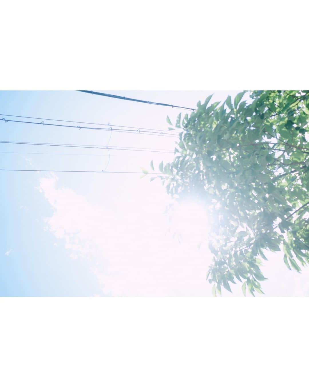 志賀可奈子さんのインスタグラム写真 - (志賀可奈子Instagram)「ゆるい。🐈🐈  一年半分終わっちゃったなぁ」6月30日 20時36分 - kanapan_ya