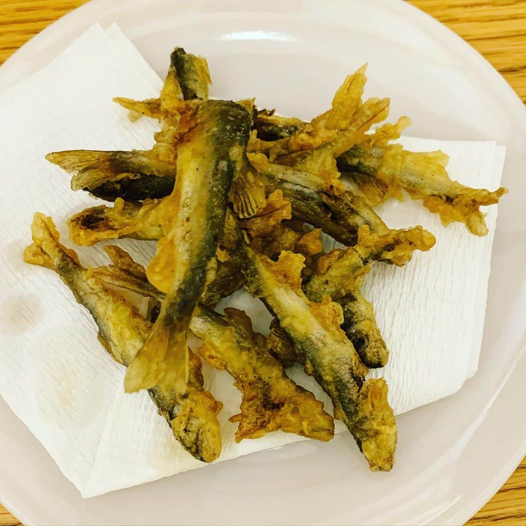 黒沢薫さんのインスタグラム写真 - (黒沢薫Instagram)「初夏の味覚。大好き。 #tempura #稚鮎 #yum #power #socute #instafood #lovelife」6月30日 20時36分 - kaorukurosawa_lovelife