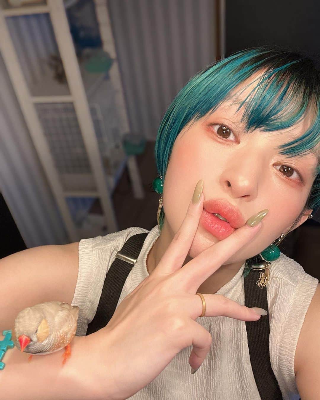 日南響子（珠麟）のインスタグラム：「..✌︎🫦𓅫  #錦華鳥  #キンカチョウ  #日南響子」