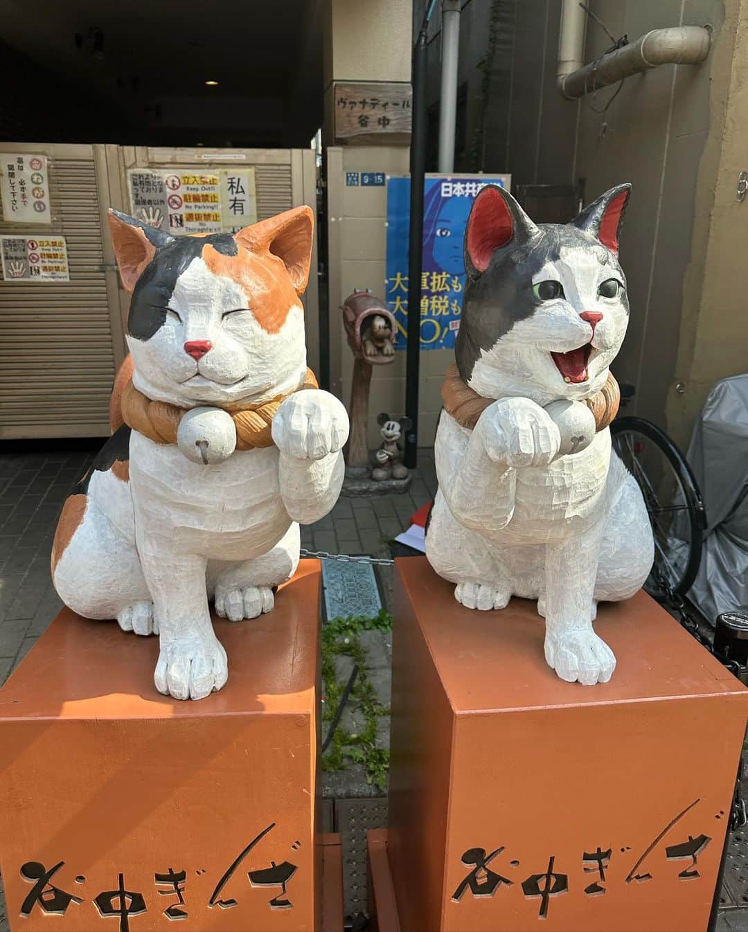 有吉弘行のインスタグラム：「猫。」