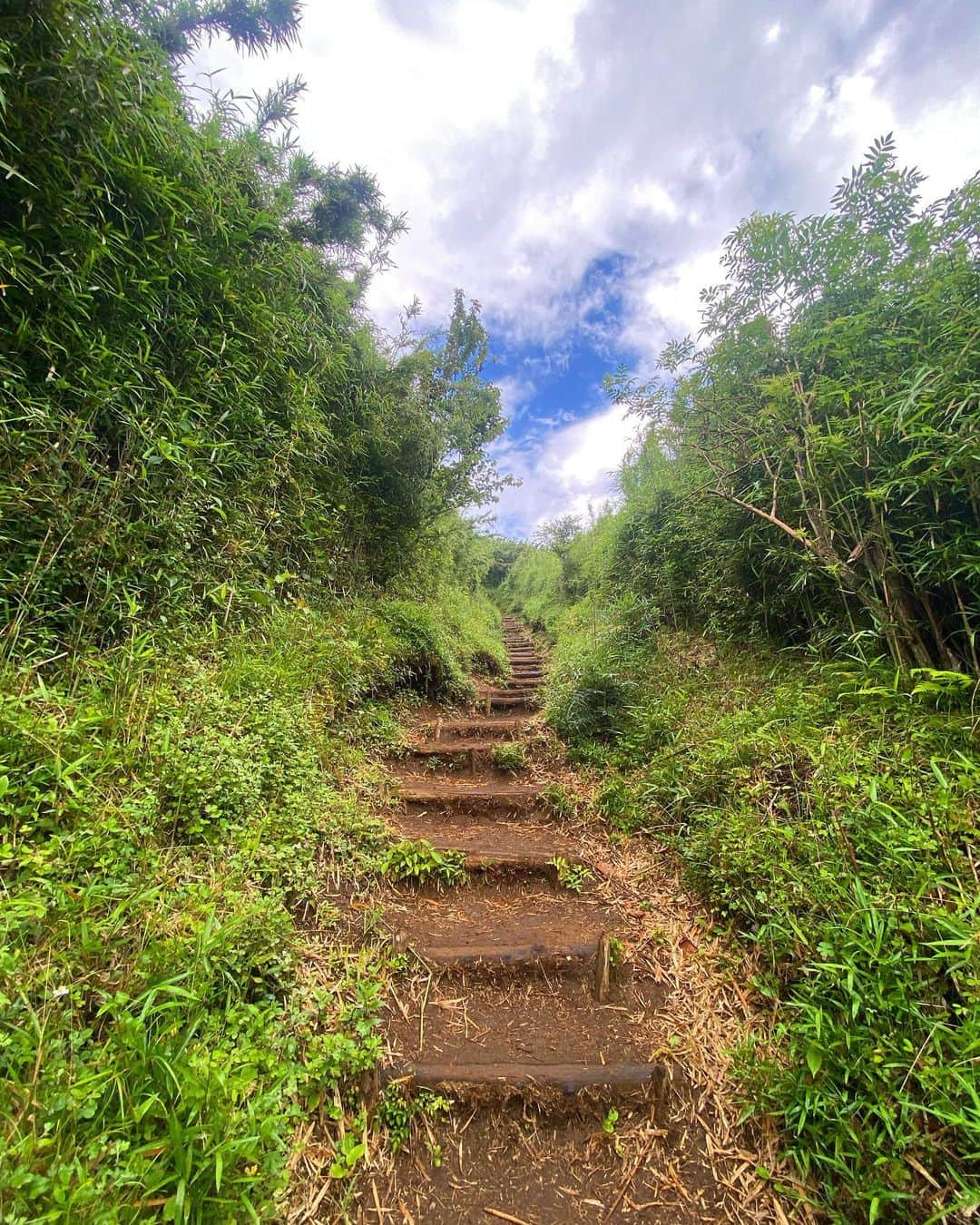 髙津奈々さんのインスタグラム写真 - (髙津奈々Instagram)「⛰🚶‍♀️☁️  今日は登山トレーニング6AM🌞  このあと濃霧と雨で頂上までは行かずにハイキングになっちゃったけど  鳥のサウンドに空気も気持ちくて  山もやっぱりいいね〜  10回くらいは登った思い出の山⛰  #フィンスイミング #日本代表 #オフトレ #自然好き #足トレ #トレーニング女子 #アクティブガール  #トレッキング女子 #アスリート女子」6月30日 21時01分 - nanatakatsu