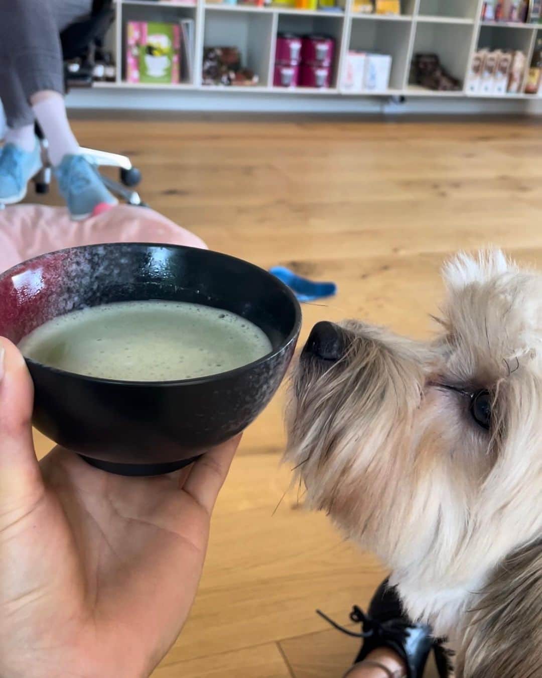 大野南香さんのインスタグラム写真 - (大野南香Instagram)「*Brown rice onigiri 🍙  I wanted to experiment with brown rice so I borrowed this cooker to try. I worked very fine and I'm so impressed by the modern technology...Just press the button and then here's the cooked rice! Wow so easy!   I love my lovely old pressure cooker that I brought from Japan but sometimes it's also nice to learn how to use a electronic cooker.  お友達の持ってる電気圧力鍋で玄米炊いてみた。 最近の家電製品はすごい。ボタン押すだけであっという間にお米が炊ける、、、。  最先端の電化製品とは縁がなくて 便利だな〜って感心しちゃった。  やっぱりいつもの圧力鍋が安心するし使いやすいし私的にはベストだけど 電化製品でも美味しく炊けるように学ぶ価値もある！  #everydayhappy � ☺︎  #brownrice #玄米」6月30日 21時02分 - minaka_official