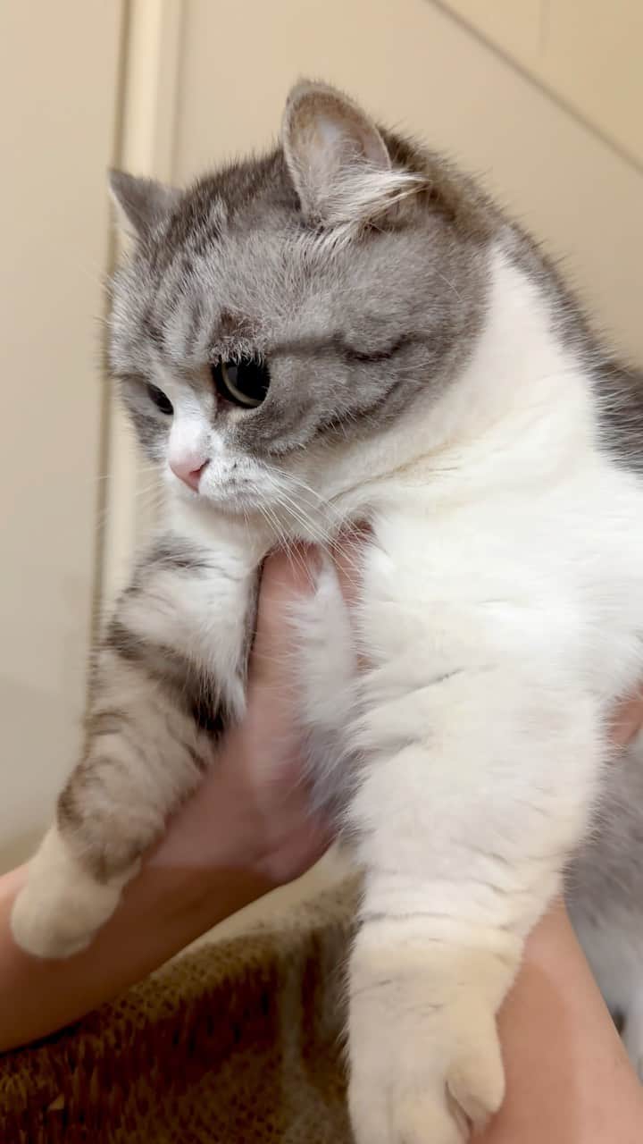 こむぎこまるのインスタグラム