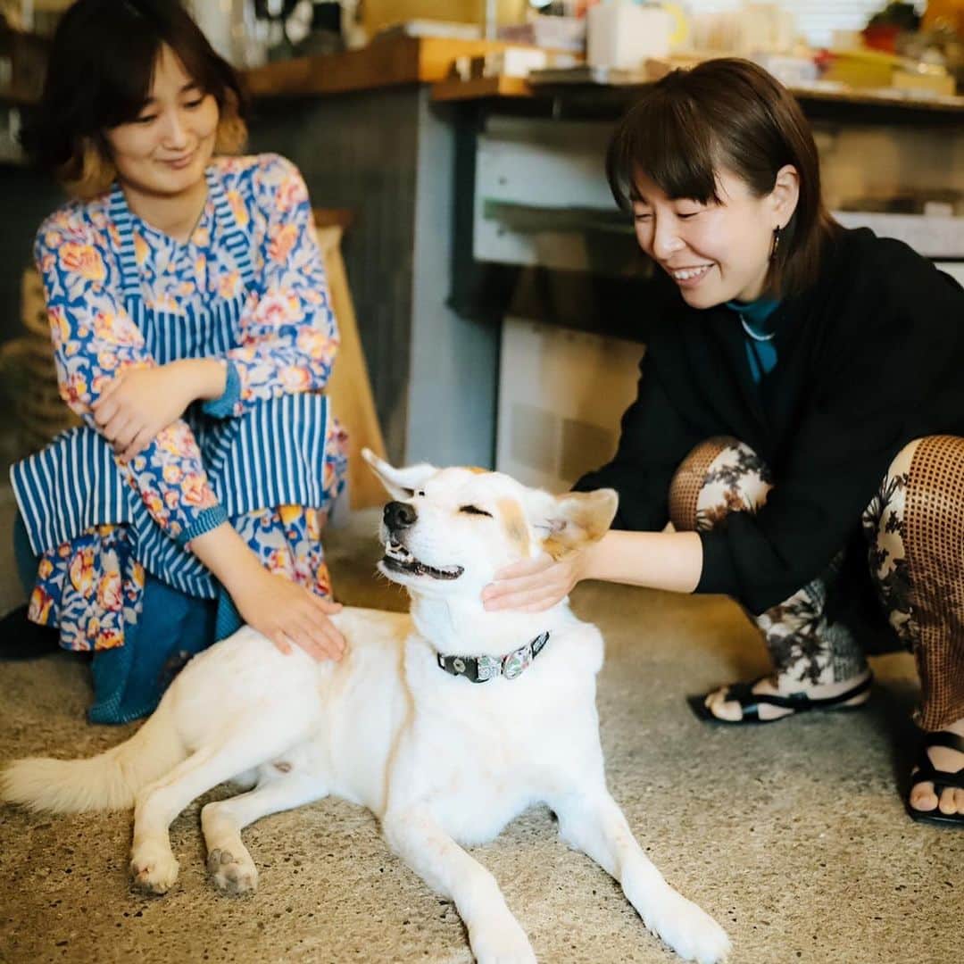 津久井智子さんのインスタグラム写真 - (津久井智子Instagram)「#津久井智子展 in 麻こころ茶屋 @macocorochaya  天草出身・在住の写真家の錦戸 俊康さん @nishikidotoshiyasu が、 ワークショップ中にこんな素敵な写真を撮影してくださいました。 1枚目のは店内の丸い鏡に映った風景😳🪞 なんてオシャレな撮り方！！  展示は本日までの予定でしたが、土日の2日間延長して、7/2までお店に置いていただくことになりました。 ドーナッツとコーヒーの販売もありますので、タイミング合う方は明日・明後日ぜひお越しください😊」6月30日 21時18分 - tomokotsukui