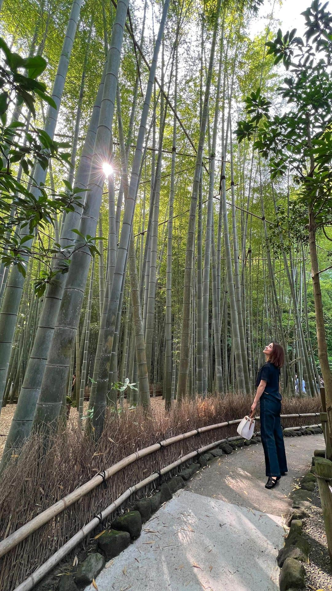 比嘉バービィのインスタグラム：「📍報国寺 幻想的な竹林を散策し、美味しい抹茶をいただく🍵  雑音のない静かな竹の庭で非日常的な空間を楽しみました🎋✨  #鎌倉 何度も訪れているのに初めての #報国寺  #Kamakura #Hokokuji #temple #Japan #抹茶 #竹林 #maccha #Bambooforest」