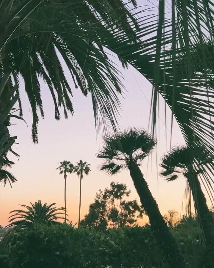 川島幸美のインスタグラム：「Beautiful scenery of this trip Las Vegas〜New Port〜Orange county🇺🇸  1.3 New Port BeachのSusetと、 マリーナにあるオーガニックレストラン"Malib  Farm Lido"⚓️ 2 Trail焼けで鼻の頭まで真っ赤😡痛い笑 4.5.6 Orange Countyの街とアンティーク 7.8.9 WBCで感動してすっかり大谷ファン笑  Anaheim stadiumへ⚾️この日は大谷が投げる日だったよ🤞 10. Las VegasのBellagioの噴水show」