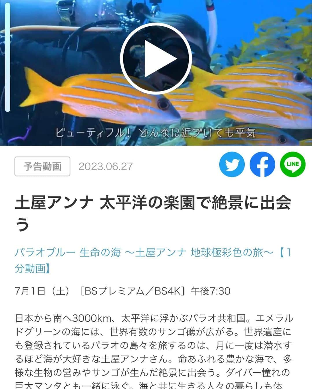 土屋眞弓のインスタグラム：「明日7月1日19時30分 NHK BSプレミアムでオンエアします  地球上に残る数少ない素晴らしくそして美しい人々と自然が共存する奇跡の島、パラオにアンナが行って参りました🌎🌍🌏🇵🇼 是非是非ご覧下さいませ  ナレーションの三宅さん 本当に素敵です💓 先日の試写会でウルウルしちゃいました🥲 たくさんの人たちに観ていただきたいです❣️  #palau #palaublue  #nature  #nhkbspremium」