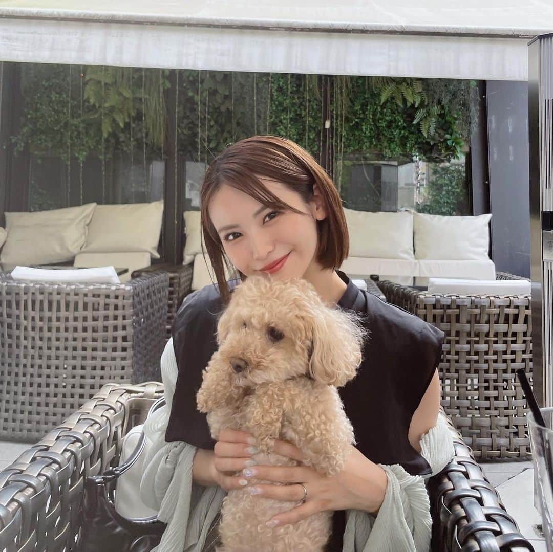 木下ひなこさんのインスタグラム写真 - (木下ひなこInstagram)「🐶💕  少し前に @ainayamauchi3131 さんと カフェデートした時の写真🥰🫶  あいにゃんさんのこと大好きすぎて 毎日でも会いたいお姉ちゃん的存在🫰」6月30日 21時39分 - hinako_0525