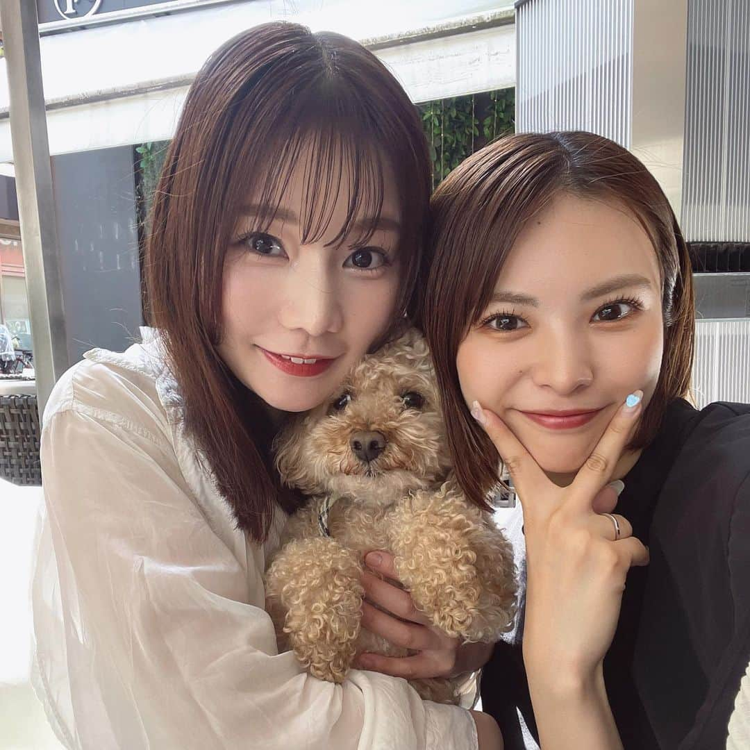 木下ひなこさんのインスタグラム写真 - (木下ひなこInstagram)「🐶💕  少し前に @ainayamauchi3131 さんと カフェデートした時の写真🥰🫶  あいにゃんさんのこと大好きすぎて 毎日でも会いたいお姉ちゃん的存在🫰」6月30日 21時39分 - hinako_0525