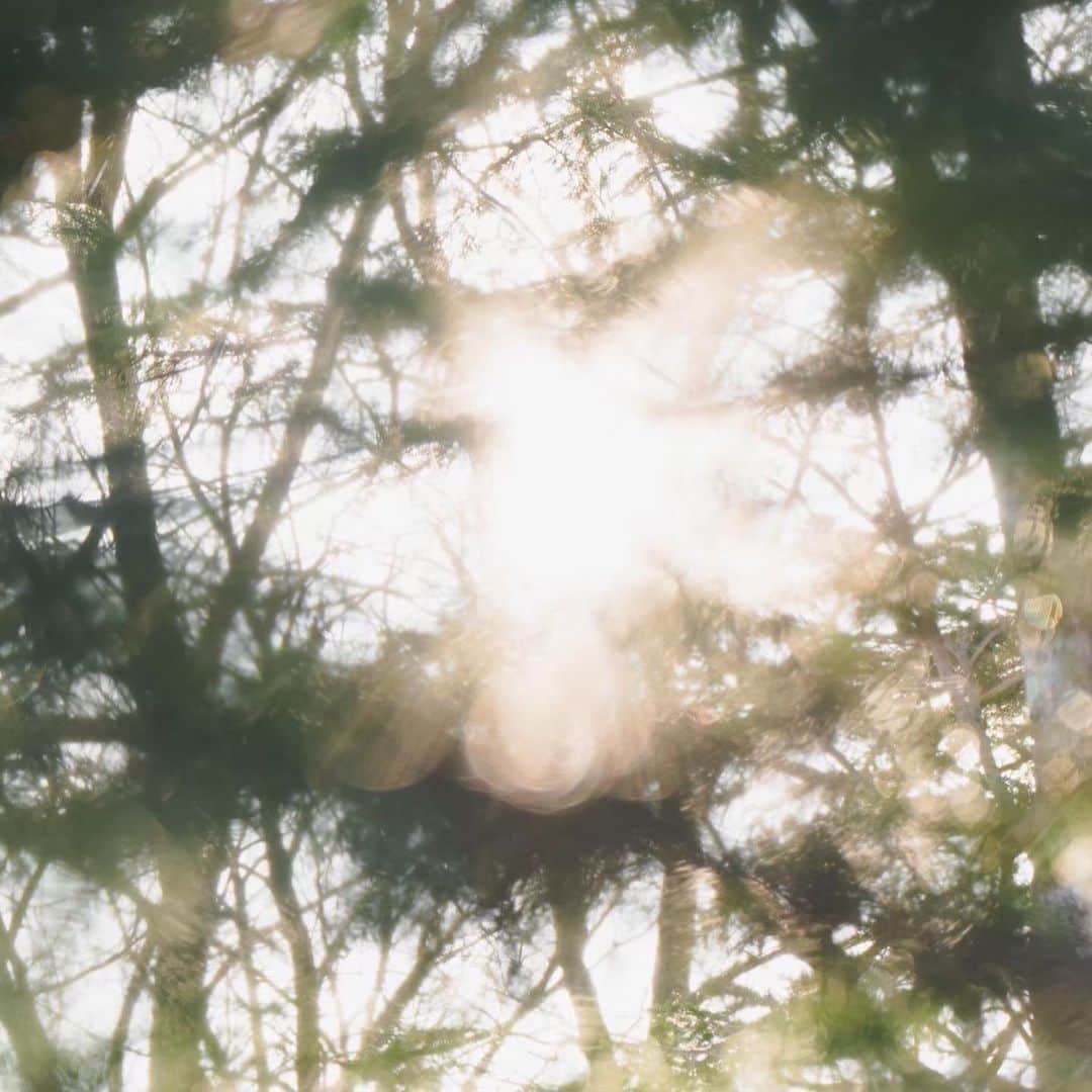 伊藤沙菜さんのインスタグラム写真 - (伊藤沙菜Instagram)「・ 普段は選択しないアクティビティも朝の時間に体験できるなら、きっと良い朝になって✨きっといいスタートが切れて✨いつもとの違いがきっと感じられるんじゃないかと思う🌿 @tsuruga_adventure   大正解でした✨  ガイドさんがいないと入れない湖北の森にも連れて行ってもらい空気が綺麗じゃないと生息できないサルオガセを見ることができて、合成かのようなwたくさんのシカとの出会いもあった🦌🦌🦌 ㅤㅤㅤㅤㅤㅤㅤㅤㅤㅤㅤㅤㅤ ボスは動物の鳴き声が上手で、得意げwに鳥たちと会話をしていて羨ましかったです🥹🫶🏻🔥爆笑  夏は釣りだってさ🎣行くしかないぜ🎣 ㅤㅤㅤㅤㅤㅤㅤㅤㅤㅤㅤㅤㅤ こうゆう経験で一歩自分の好きなことになる道が近くなったりする😏👍🏻✨  鶴雅グループ -Ryokan × Wellness-🏔 Produced by EASY PEASY inc. @tsuruga_wellness  ㅤㅤㅤㅤㅤㅤㅤㅤㅤ 【 あかん遊久の里 鶴雅 , あかん湖 鶴雅ウイングス 】 📍Akanko Onsen, Hokkaido ㅤㅤㅤㅤㅤㅤㅤㅤㅤㅤㅤㅤㅤ @tsuruga_akan @tsurugawings_akan  @tsuruga_adventure   ㅤㅤㅤㅤㅤㅤㅤㅤㅤㅤㅤㅤㅤㅤㅤㅤㅤㅤㅤ#ryokan_wellness #tsuruga_wellness #ウェルネス旅 #北海道旅行 #阿寒湖温泉 #あかん遊久の里鶴雅 #あかん湖鶴賀ウイングス  #あかん湖 #鶴雅グループ #鶴雅リゾート #鶴雅  #siri ㅤㅤㅤㅤㅤㅤㅤㅤ」6月30日 22時02分 - 37room_official
