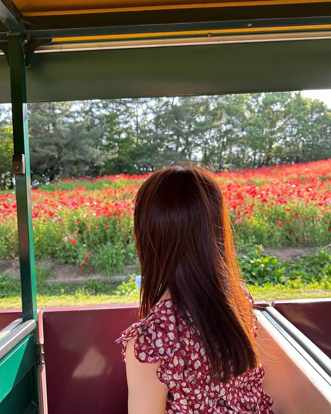 飯坂采子さんのインスタグラム写真 - (飯坂采子Instagram)「きょうとてもとても幸せな日に🌙！⠀ きょうのこととは関係なく、、5月中旬に立川へ真っ赤なポピーが満開でみれたときのコーデです🎞⠀ ⠀ tops : @deicy_official⠀ skirt : @deicy_official⠀ bag : @elleme⠀ accessory : @dior @joueteofficial @h_jewelry_official⠀ shoes : @deicy_official⠀ ⠀ 気づけば全身DEICYのアイテムな日でした。セットアップで着れるし別々でも着れるから着回しよしで、シルエットが綺麗で体型が気にならないし、チェリー柄が可愛いけど甘過ぎない大人めに着れるところがすき🍒そして最近、毎日暑くて暑くてノースリーブなアイテムが大活躍してます！載せてない間にもうプレセール？がはじまってる✔️そんな季節になってきたけれど、、、夏はこれから！まだまだ楽しみながら秋服も楽しみ〰️⠀ ⠀ 最近、考えごとが多くなってきていて上手くいくこともいかないこともあり、でもみんなそんな日々を頑張ってるって実感できるようなできごともあったりで、あーゆっくりでも大丈夫だからまた頑張らないとなって思えるそんな日々を過ごしてます🥰明日からもう7月！頑張りましょうー🫶🏻⠀⠀ ⠀ #deicy#elleme#dior#jouete#hjewelry#デイシー#エレメ#ディオール#ジュエッテ#立川#国立昭和記念公園#花畑#ポピー#150cm#150cmコーデ#Sサイズコーデ#低身長コーデ#あや_ふく#あや_日記」6月30日 22時00分 - ayamini316