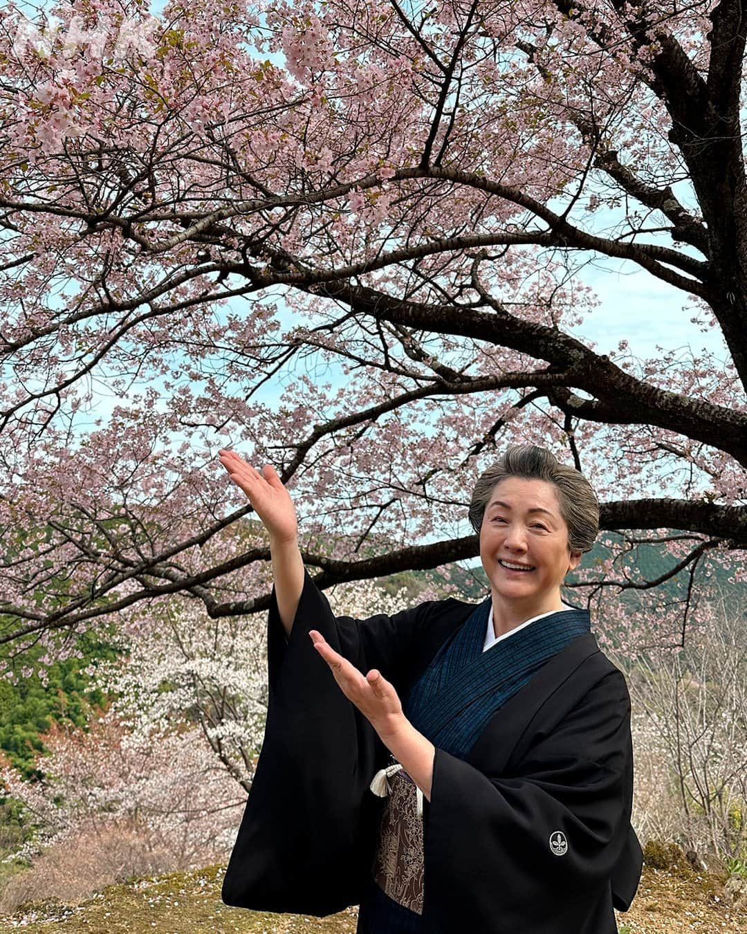 らんまんさんのインスタグラム写真 - (らんまんInstagram)「#らんまん観察日記📸  桜の木の前から、#松坂慶子 さんのオフショットをお届け✨  タキの最後のシーンにふさわしい、満開だった桜🌸 松坂さんもご自身のスマホで桜を撮影していました🙌  #Twitterには別カットも！ #朝ドラらんまん」7月1日 18時00分 - asadora_ak_nhk