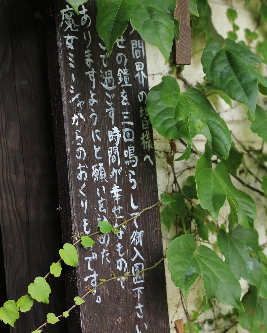 ゆりめりさんのインスタグラム写真 - (ゆりめりInstagram)「こんなところに、魔女のミーシャからのメッセージが...✨」6月30日 22時58分 - yurimeri_official