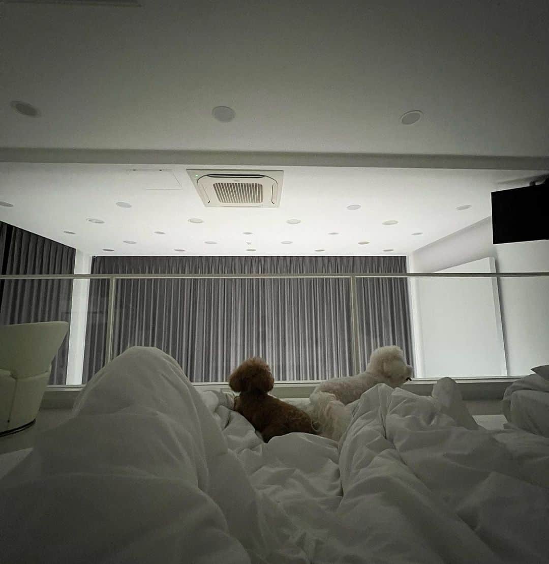 SAY さんのインスタグラム写真 - (SAY Instagram)「life in visions☯️☯️☯️☯️☯️」6月30日 23時08分 - saayworld