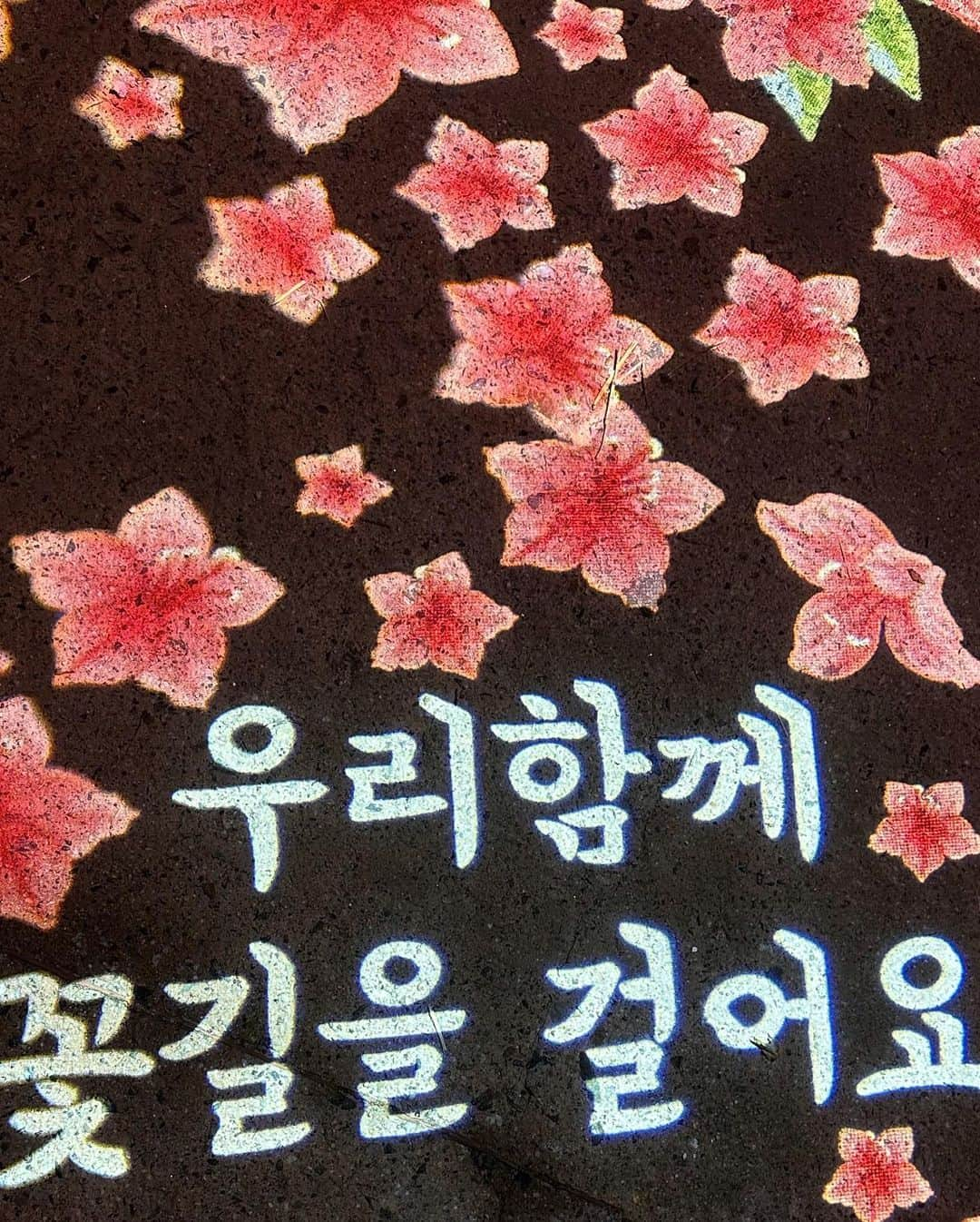 パク・ボゴムさんのインスタグラム写真 - (パク・ボゴムInstagram)「누리달🌼」6月30日 23時52分 - bogummy