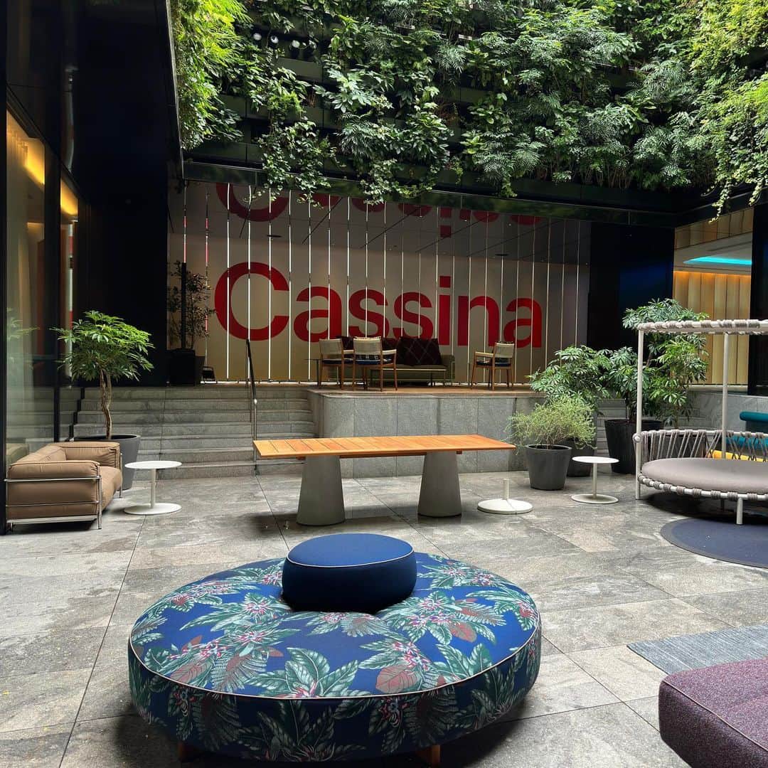 ELLE DECOR JAPANさんのインスタグラム写真 - (ELLE DECOR JAPANInstagram)「大阪・W大阪にて7月3日からカッシーナのアウトドア家具によるBBQビアガーデン🍺🍖「Cassina Terrace in W OSAKA」がスタートします！ プールの隣でカッシーナのアウトドア家具を満喫しつつ、ドリンクがフリーフローのBBQを楽しめる夢の企画。22時までなので、ナイトプールも楽しめます！ 9月30日まで。 #cassina  #wosaka」7月1日 12時53分 - elledecorjapan
