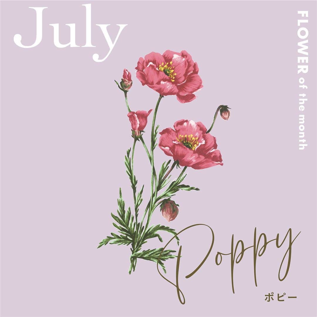 Afternoon Teaさんのインスタグラム写真 - (Afternoon TeaInstagram)「. 【Flower of the month：ポピー】  毎月1日に数量限定で発売してきた 季節の花をモチーフにしたコンパクトバッグ。 全6種類の最後を飾る7月のお花はポピーです。  風にゆらゆらと揺れる姿がかわいらしいポピー。 赤やオレンジ、黄色などカラフルな花色と、 大きなサイズは華やかな印象です。 ポピーは花色によって花言葉が異なり、 赤いポピーは「感謝」「喜び」「慰め」の意味を持っています。  ブランドサイトでは、 6種類のフラワーアートをデザインした スマートフォン・PC用の壁紙を配布中。 ダウンロードしてぜひお楽しみください♪  --------------------- 詳しくはプロフィールのリンクからどうぞ ➡@afternoontea_official  #AfternoonTea #AfternoonTea #AfternoonTeaLIVING #アフタヌーンティー #アフタヌーンティーリビング #アフタヌーンティーのある暮らし  #エコバッグ #コンパクトバッグ #ショッピングバッグ #花 #花のある暮らし #ポピー #bag #flower #flowerofthemonth #poppy」7月1日 12時00分 - afternoontea_official