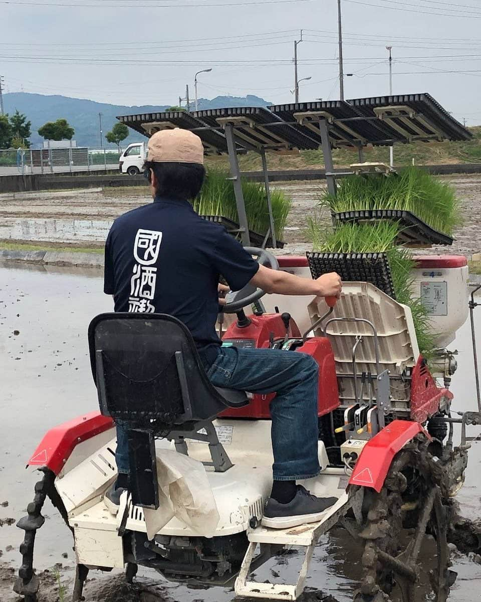 竹田恒泰さんのインスタグラム写真 - (竹田恒泰Instagram)「国酒禊の酒米は「朝日」です。  昔偉い方が「朝日は読むものじゃない、飲むものだ」と仰ってました。」7月1日 12時22分 - takedatsuneyasu