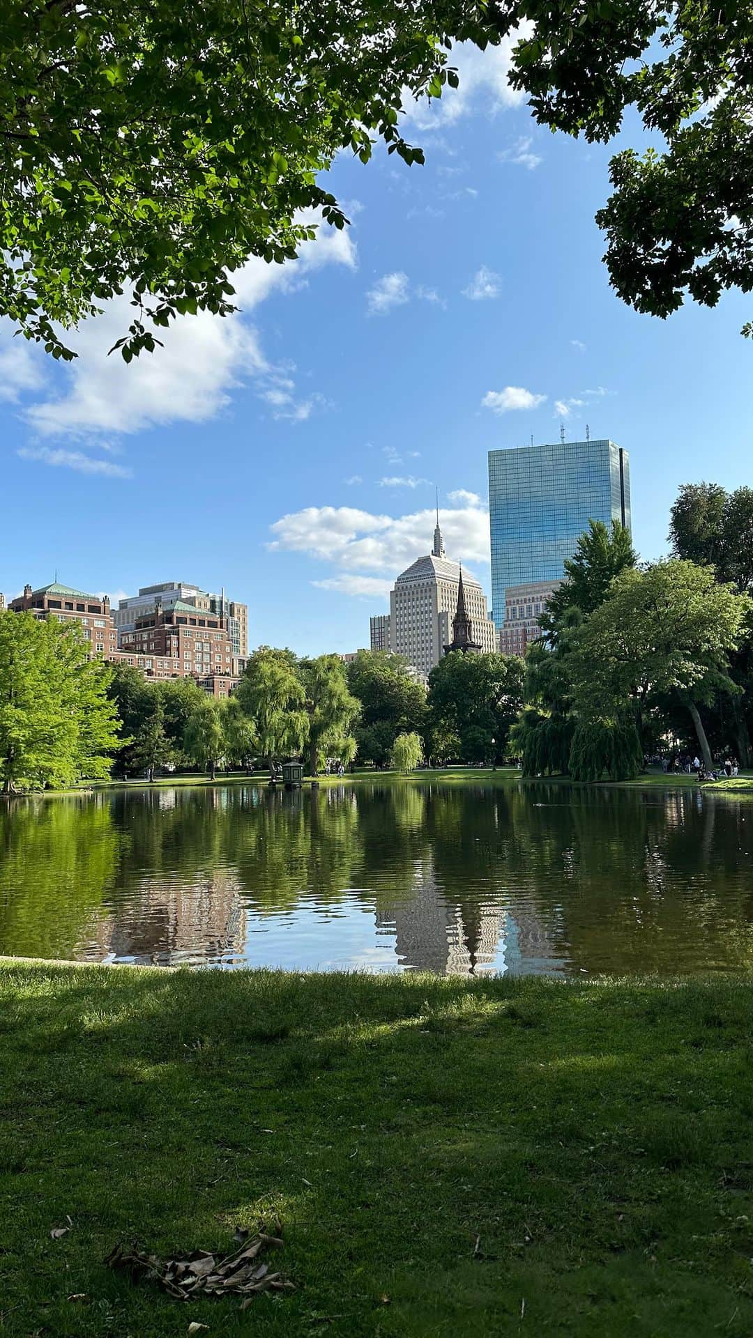 メリル・デイヴィスのインスタグラム：「🐿️📚👯‍♀️☕️✨ ••• #summertime #boston #visitboston #publicgarden #beaconhill」
