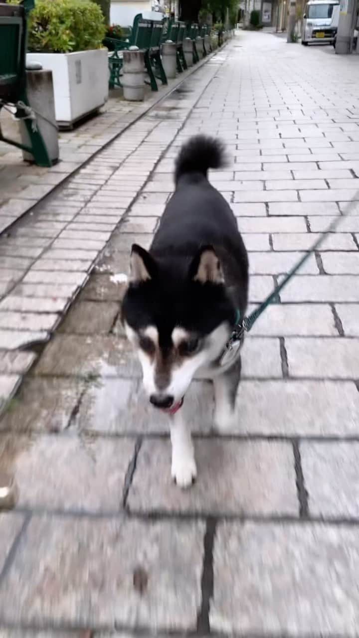 くろのグルメインスタ