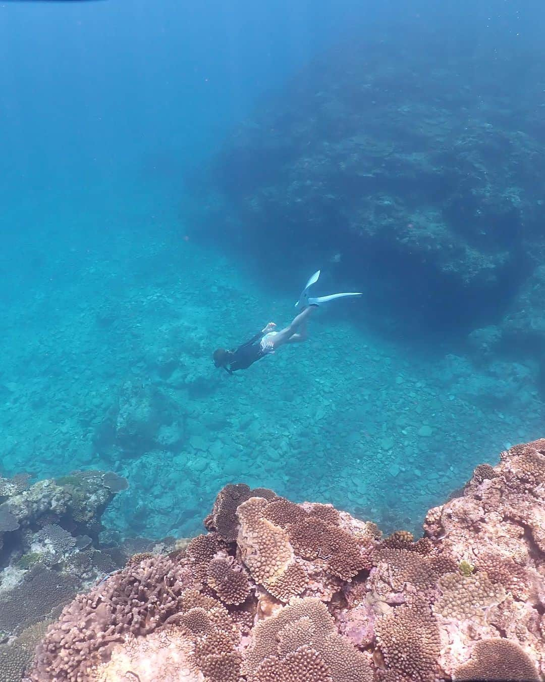 千波のインスタグラム：「沖縄🐠 北部、ほぼ貸切状態の穴場で🤿  この季節が始まったー！！🏝️♡  海は  見てるだけで癒され  入ると肉体が解放され  波に乗ると楽しく  潜ると感動して世界が広がる🪸  あまりにも素敵なこの世界を どうしても伝えたくて 撮ってみました🪸🐠 パチパチは珊瑚の呼吸の音🪸  海にいる時ってすごく 無邪気になれます👧🏻 笑いすぎて溺れかけた🫠  ただの趣味だけど 頑張りたいことや 励めることがあるってすごく楽しい。  没頭しすぎる傾向があるので、 今は楽しめる範囲で🧜☪️  どこまでも深く、遠く、しなやかに 潜りたい。  課題山積み。  practice  practice  practice  🩵🩵🩵  🪸🐠🏝️🤿🏄👙  大切な友人であり、 海パートナー♡ @yumechanlovery  #海中散歩 #沖縄 #スキンダイビング #シュノーケル #エネルギー」