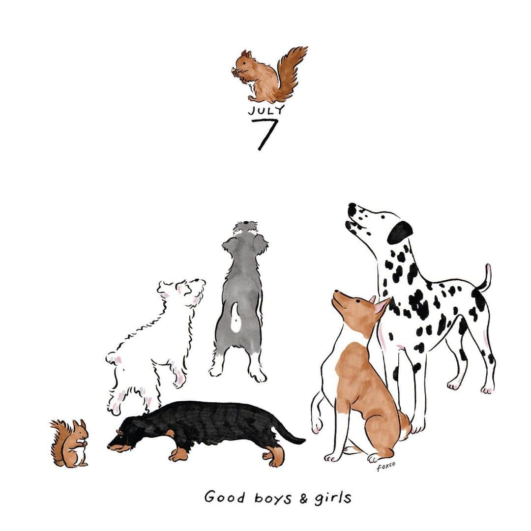 渡邉香織さんのインスタグラム写真 - (渡邉香織Instagram)「ロンドンの公園ではノーリードの犬たちがリスの推し活してる」7月1日 8時30分 - foxco_kaori