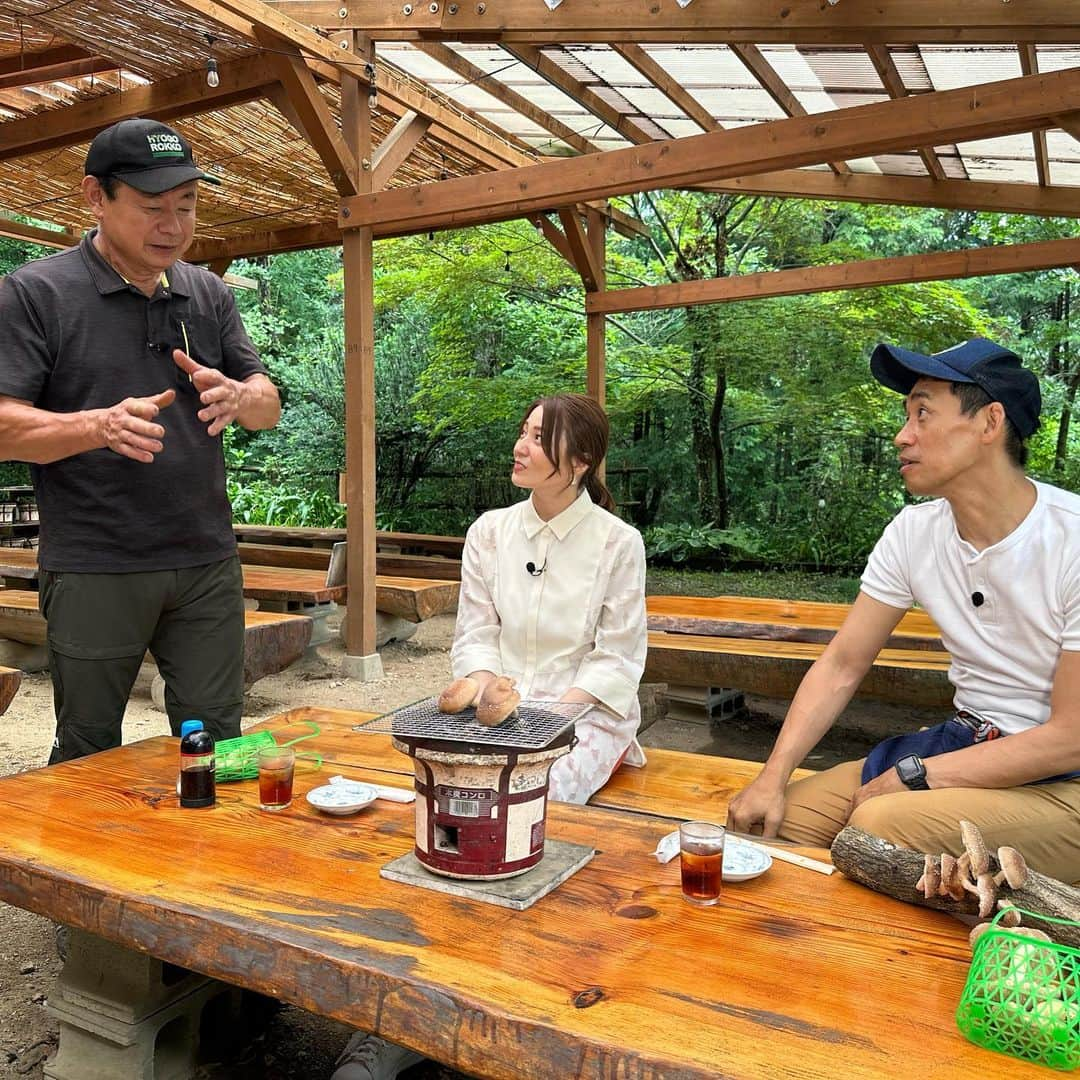 石田靖さんのインスタグラム写真 - (石田靖Instagram)「テレビ大阪⑦『発見❗️食遺産』 ゲストの初登場、久野静香さん と猪名川町&箕面で食遺産探し〜 どんなレシピと出逢ったのか？ 思わぬ再会も⁉️OAお楽しみに #テレビ大阪 #発見食遺産 #食遺産レシピ #猪名川町グルメ #カフェサラトテン #仲しい茸園  #箕面グルメ #名店のシェフ絶賛食材sp  #やなもり農園  #久野静香 #石田靖 #一期一笑」7月1日 9時28分 - yasulog