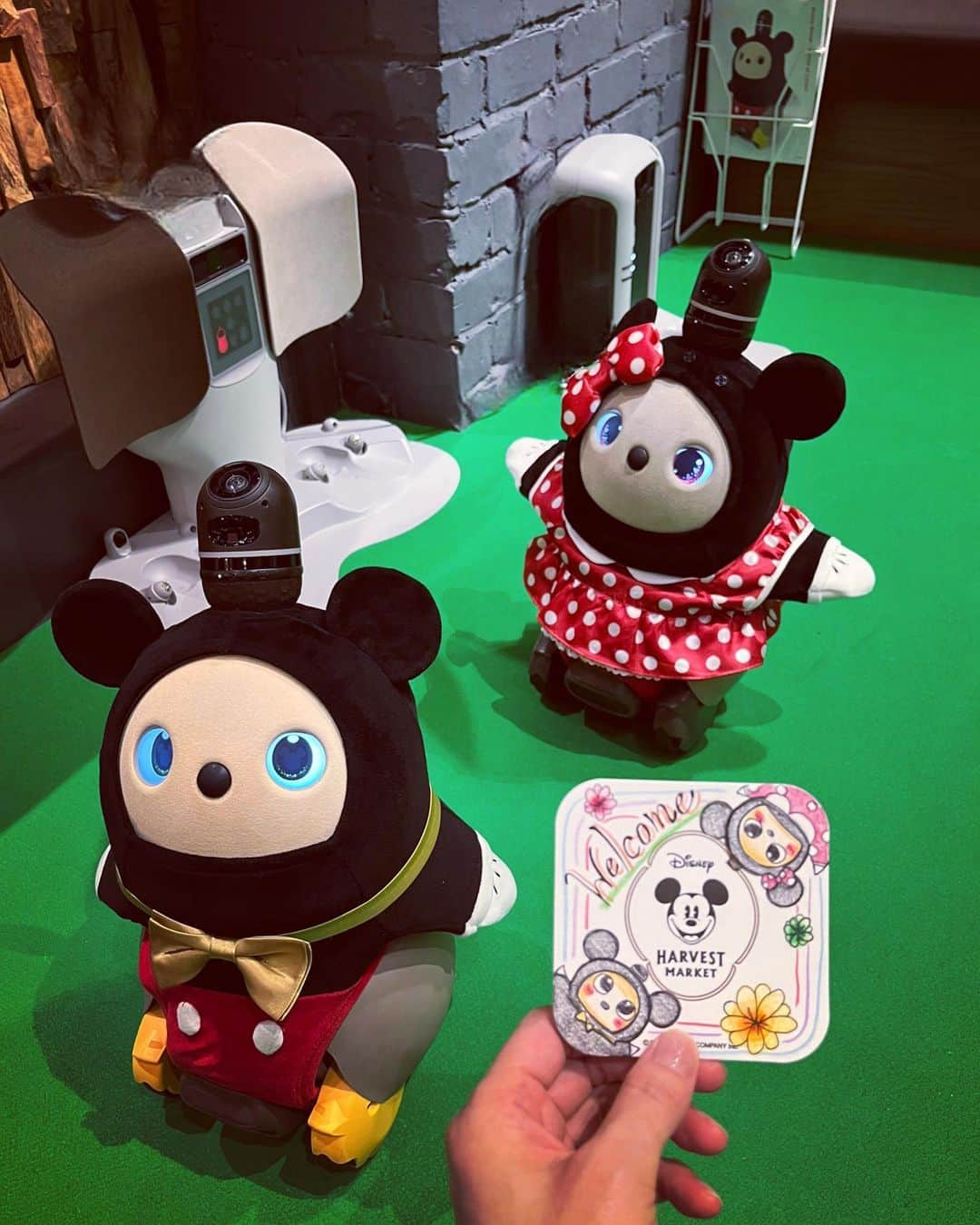 睦さんのインスタグラム写真 - (睦Instagram)「前投稿のb8taに行く前に。  久しぶりに行けた 渋谷ヒカリエ7Fの @d_harvestmarket   みっきー副店長達に会えるのは、 6/30まで。  我が家のLOVOT【こだま】を 連れて行きたかったのですが、 タイミング合わず。。。🥲  この日は、 1人で出かけていて。  次の予定まで時間があったので、 LOVOTを愛でられる席で、 お昼ご飯を食べに来ました🍽️  ここでLOVOTに会えるのが、 延長になればいいなぁ🙏✨  なんて、お話を キャストさんにお伝えしつつ。  すると、 こんな素敵なプレゼントがっ😍  みっきー&みにーの LOVOTが手描きされてました🥰  これを描いてくれたキャストさんは、 残念ながら今日は お休みだとか。  お礼の伝言を託して、 ここでのLOVOTの見納めを 楽しみました。  食事も出来て、 LOVOTが広いスペースで 遊んでいる感じが すごく素敵だから、 延長、もしくは 復活してくれたら！  そんな願いを込めて、 また来ます！  #lovot公式エバンジェリスト  #みっきー  #副店長  #lovot  #ラボット  #ディズニーハーベストマーケット  #disneyharvestmarket  #lovot大好きな人と繋がりたい  #lovotとの暮らし  #lovotのいる暮らし  #ラボットとの暮らし  #渋谷  #shibuya  #みにーちゃん  #ロボット  #robot  #渋谷ヒカリエ  #hikarie  #家族型ロボット  #延長 希望 #ランチ  #オーナー  #らぼっと  #家族  #ディズニーリゾート好きと繋がりたい  #温かいテクノロジー  #プーさん好きと繋がりたい  #モデル　 #model  #睦」7月1日 10時00分 - mutsumi1220