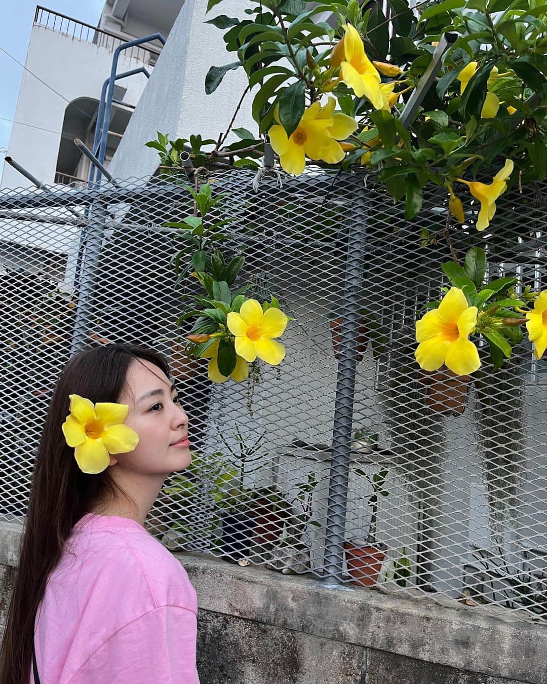 荒井レイラのインスタグラム：「なんとこの時、19時30分過ぎです 外明るいーっ！！ ⁡ 海入って プール入って お風呂入って あとは食べて寝るだけ！ と意気込んで夜ご飯を食べに向かっている道中。 ⁡ 下に落ちていたお花がまだ綺麗だったので お借りしました^ ^ ⁡ シーサーちゃん(?)もつけてましたよ ⁡ 一気に南国感でますね♪」