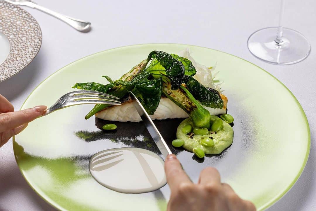 のインスタグラム：「優雅に美食を愉しむ🇫🇷 Enjoy a delicious lunch course with elegance 🍽  Menu Dejeuner ①柔らかく火入れしたヒラスズキに“ずんだ”を添えて キレのあるシャンパーニュソースと ②鰹のミキュイ サラダ仕立て ハーブ香るナッツのソースとジュ・ド・ヴォー フランス料理 ヌーヴェル・エポック オークラ ヘリテージウイング 5階 8月31日(木)まで  ①Grilled blackfin sea bass with “Zunda” with champagne sauce ②Bonito mi-cuit, salad style herb-scented nut sauce and jus de veau French Fine Dining Nouvelle Epoque  Location:5th Floor, The Okura Heritage Wing Available until August 31.  プロフィールよりどうぞ↑ #前菜 #ヒラスズキ #鰹 #東京ランチ #ランチコース  #シェフ #池田進一 #シェフパティシエ #東京フレンチ #港区フレンチ #東京グルメ #ホテルレストラン #デートにおすすめ  #theokuratokyo #オークラ東京 #ホテル #frenchcuisine #tokyofrench #tokyorestaurant #appetizer #chef #Shinichi_Ikeda  #hotel #luxuryhotel #lhw」