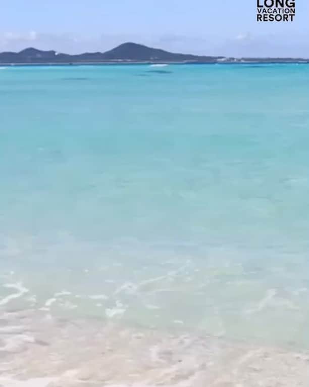 のインスタグラム：「Come and have some fun in the sun❣️」