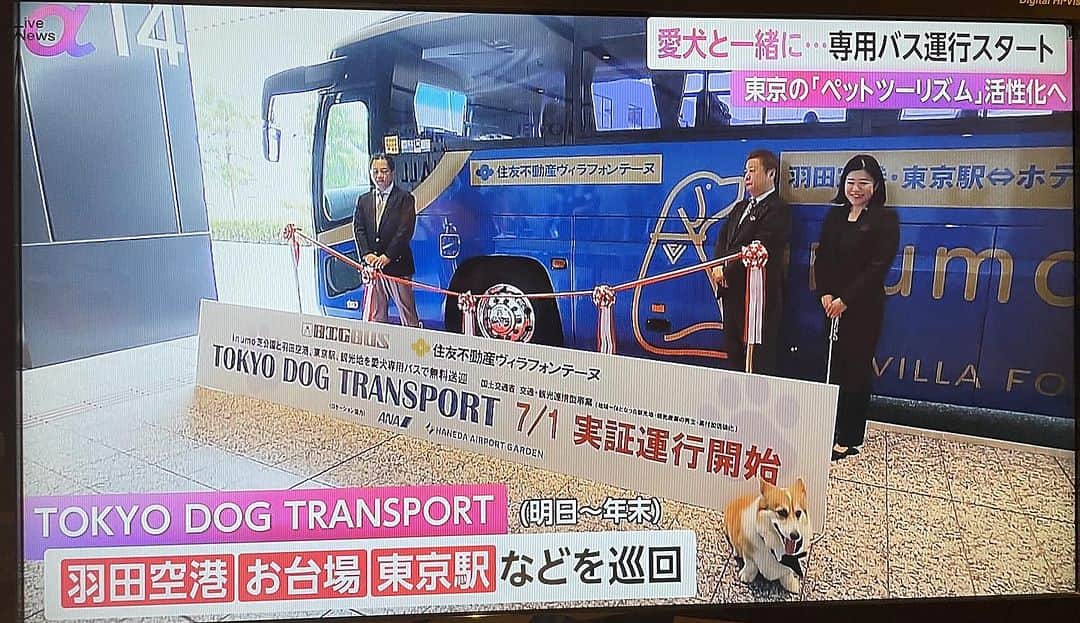 ブライダル・ホテル・旅館プロデュース【アルプラス】のインスタグラム：「TVでも取り上げられました！  https://news.yahoo.co.jp/articles/824d1b721632900f87de99cf11af67f12e90093d  東京でワンコと乗れるバス「わんわんトラベルバス」  6/19(月) 13:15配信  写真：Impress Watch  日本初の愛犬専用バスを開発したB・I・Gと、愛犬のためのフルサービスホテル「inumo芝公園 by Villa Fontaine」を運営する住友不動産ヴィラフォンテーヌは、羽田空港・東京駅・湾岸エリアなどとinumo芝公園を無料で送迎する共同実証運行事業「TOKYO DOG TRANSPORT(以下、本事業)」を7月1日から12月25日まで実施する。  【この記事に関する別の画像を見る】  今回運行する車両は、愛犬家から寄せられた意見が反映された日本初の愛犬専用バス「わんわんトラベルバス」で、B・I・Gが開発した。愛犬と快適に乗車できる各種仕様を盛り込み、実用新案として登録されている。(登録第3235573号)  座席は大型犬も同乗できる座席スペースとし、125cmのワイドピッチ。これは通常のバスの約2倍の広さという。犬用バギーも置けるスペースも確保できる。  座席の側面にはロールスクリーンが設置され、通路との間に仕切りを作れる。これにより、犬同士の目線があってトラブルが起きることを防ぐ。座席は互い違いに設置され、互いの存在も気になりにくい。車両空調はプラズマクラスターを2台設置して脱臭を行なう。床面は犬の足が滑りにくい木目調の床を採用。防水・防臭・抗菌仕様となっている。  運行ルートは、「inumo芝公園」から「羽田エアポートガーデン 団体バス乗り場」、「お台場海浜公園自由の女神像付近」、「丸の内北口付近」「銀座8丁目交差点付近」。羽田や東京駅との往復だけでなく、銀座やお台場など買い物のために途中下車も可能。  利用は無料で、対象者は、inumo芝公園に宿泊する人(滞在中、チェックイン・チェックアウト当日を含む)、クラブ ヴィラフォンテーヌ会員で愛犬を連れている人(登録無料)。乗車前日までに予約が必要で、予約が無い場合は運行しない場合もある。  「inumo芝公園 by Villa Fontaine」は、港区芝公園で2022年に開業したドッグフレンドリーホテル。ホテル内はリードをしていればどこにでも犬を連れ歩け、食事も一緒にできる。ベッドの上に犬を乗せることもでき、大型犬でも宿泊できるなど、犬を連れて行くことに関して制限がほとんどないのが特徴。」