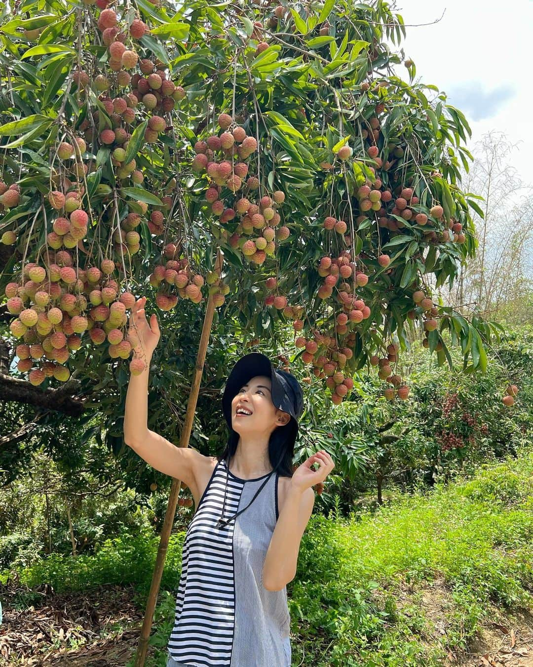 大久保麻梨子のインスタグラム：「媽媽來台灣最期待的就是新鮮美味的台灣水果！ 台灣真的是水果王國，很多都是媽媽來台灣才第一次吃到的！ 這次到了台南楠西果農之家體驗森果川自然園區採果與生態導覽🌲 園區非常非常大，美麗的山林裡走一走非常的舒服，超大面積的綠地讓我們的眼睛，心情好好放鬆休息一下✨ 園區裡真的擁有超多種植物，能夠欣賞各種植物原生的樣貌，媽媽第一次看到荔枝，香蕉，百香果，芒果，楊桃等等這些她愛吃的水果是怎麼成長的😳真讓我們都大開眼界！  而且這裡能享受的餐點也都是用當季新鮮水果當作食材！不僅是特別也超乎想像的美味😋 附近的龜丹溫泉也是非常推薦的旅遊行程✨  母が夏の台湾で1番楽しみにしていたのは豊富な種類のフルーツ！ ということで台湾果物の産地台南楠西にある様々な台湾の植物の生態が体感できて果物狩りもできちゃう果農之家に行ってきました。 園内はめちゃくちゃ広くて、森の中や各果物が育ててある敷地を一周するだけでも1時間半ほどかかりました。 気持ちのいい緑に触れて目も心も癒される私達。 母も初めてみるライチやバナナ、パッションフルーツやマンゴー、スターフルーツがどんなふうに実っているのかを目にして感動していました。 探索した後のお待ちかねの食事も、なんと旬の季節を使ったフルコース！ フルーツのいいところがすごく生かされたお料理の数々に大満足の1日。 近くにある龜丹溫泉と一緒に訪れるととてもリフレッシュできる旅行コースです😊  #台南 #西拉雅國家風景區 #果農之家 #龜丹溫泉 #台灣水果 #水果 #仙境西拉雅 #台南美食 #台南景點 #台南旅遊 #台南必吃 #台南旅行  @travelsiraya」