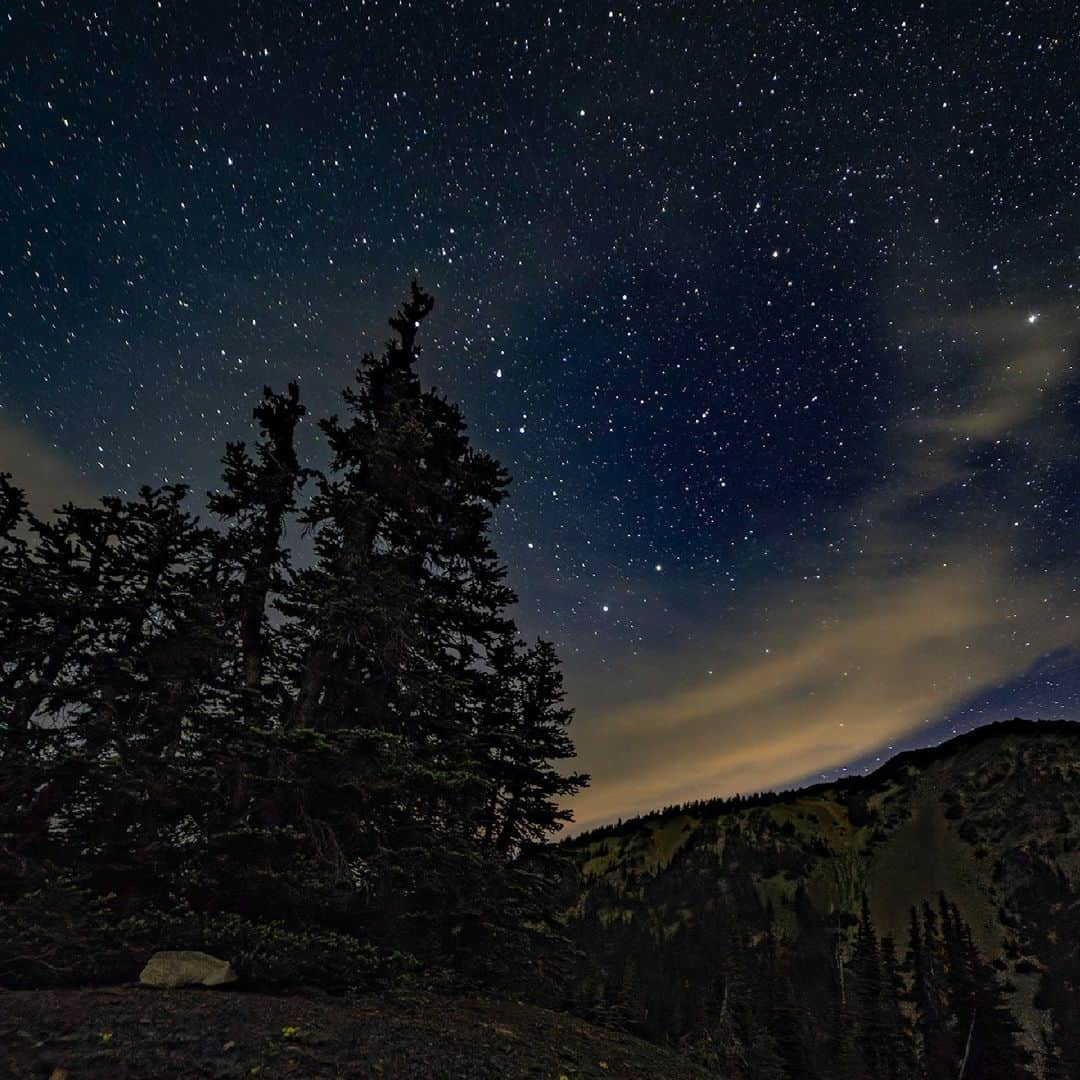 のインスタグラム：「夏の星空を楽しもう。  Mountain Tech：Harry Christensen  #goretex #ゴアテックス #7月 #夏の夜空 #夏の星空 #星空」