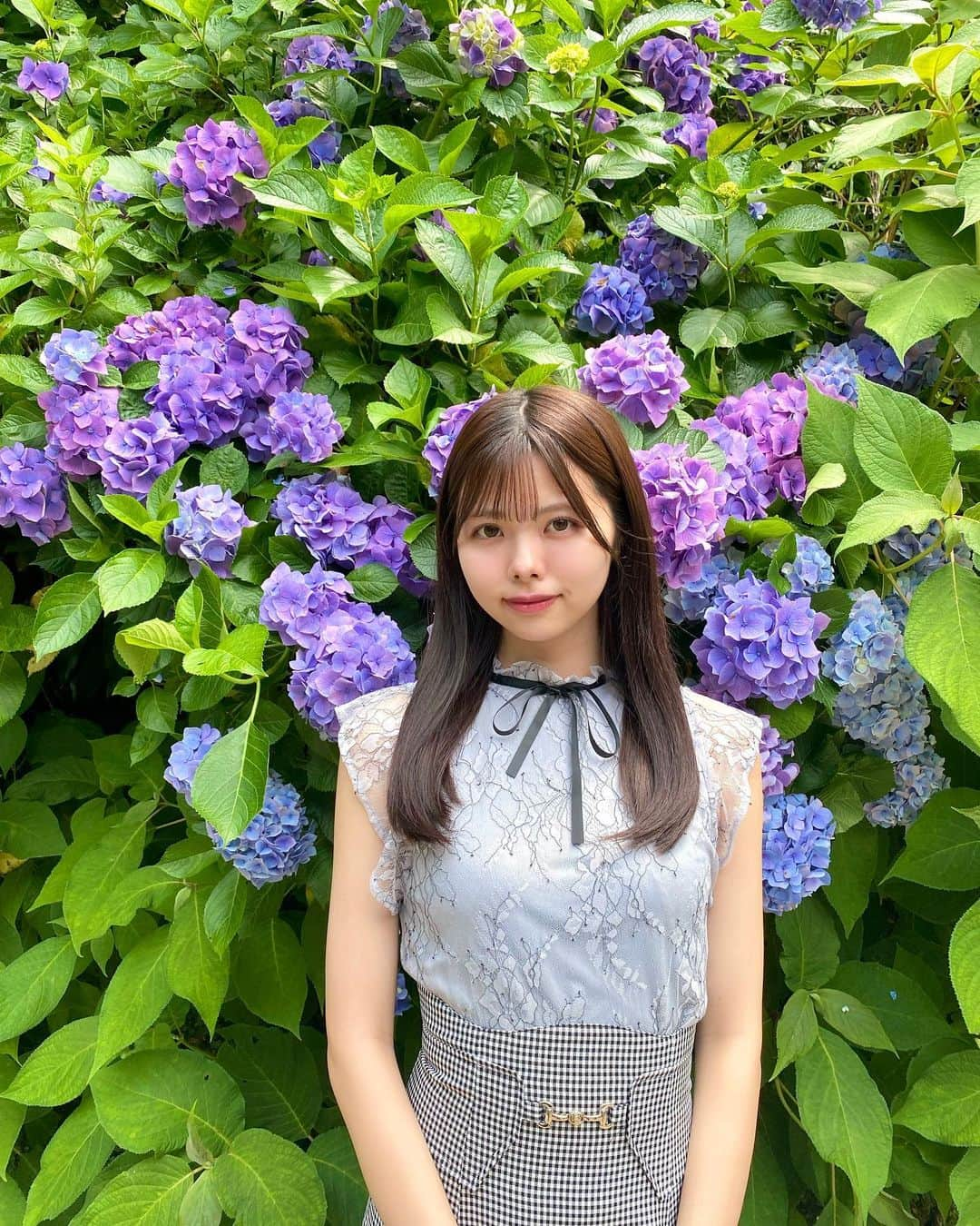 荒野姫楓のインスタグラム：「7月に入りましたね🎋⭐️  紫陽花との良い写真がまだ沢山あるから 7月になっても紫陽花写真どんどんあげちゃうぞう  この夏、楽しいことだらけにしましょうね！  とりあえず海に行きたいな♡  （余談の余談ですがずっと昔から大好きなアーティストさんである 倉橋ヨエコさんが引退から今日また活動を再開されるみたいで めちゃくちゃ嬉しかった1日でした、私の青春🥹🫶🏻）  . #名古屋#名古屋アイドル#アイドル#アイドルヘア#夏本番#夏#夏コーデ#紫陽花#あじさい#ノースリーブ#ブルベ#ブルベ冬 #SKE48#idol#Nagoya#asiangirl#asian#Japaneseidol#summer#hydrangea#hydrangealove#hydrangeaseason#flowers#green#japanlife」