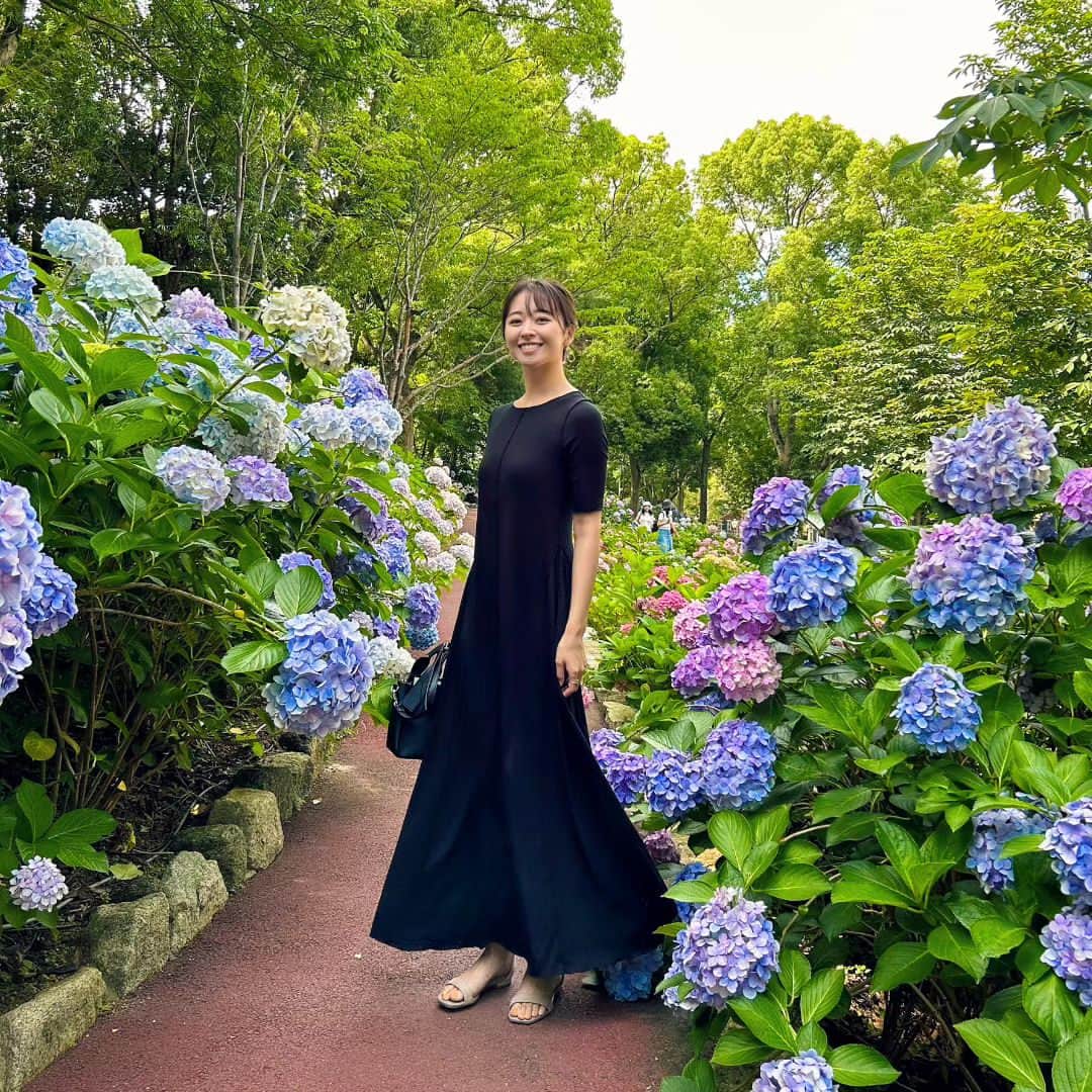中川知香のインスタグラム：「🌂 紫陽花たくさん咲いてました  #中川知香」
