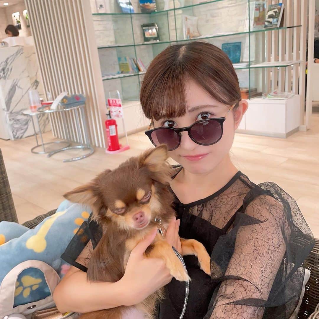 金澤有希のインスタグラム：「数日前から用事があって 家族が北海道から来てるの〜  嬉しい嬉しい🫶🏻  大好きなドッグランで走り過ぎて 疲れ切って寝てる、くまと📷」