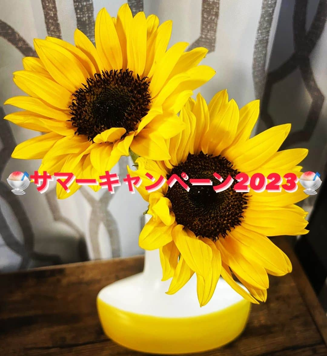 田中亜弥さんのインスタグラム写真 - (田中亜弥Instagram)「【サマーキャンペーン2023】 いよいよ7月☀️🍉  すっかり夏の陽気が続いており、夏を楽しむために体を絞りたいというお客様が増えています👙✨  ダイエットして夏バテしないためにも適度な食事管理と筋トレがとても大切になってきます👍  皆さんがより夏を堪能できるようにお得なキャンペーンを開催いたします🥰  ぜひこの機会にご利用ください🙌  🍧サマーキャンペーン2023実施中🍧 入会金・事務手数料無料‼️ ​ 【1人の場合】​　 　①初回 　カウンセリング(60分)＋トレーニング(60分) 　　15,400円　→　12,100円 　カウンセリング(60分)＋トレーニング(90分) 　　18,700円　→　15,400円 　②2回目以降 　トレーニング(60分) 　　11,000円　→　8,800円 　トレーニング(90分) 　　15,400円　→　12,100円 ​ 【2人の場合】​　 　①初回 　カウンセリング(60分)＋トレーニング(90分) 　　25,300円　→　19,800円 　②2回目以降 　トレーニング(90分) 　　19,800円　→　16,500円 ​ 【オプション】 　パーソナルストレッチ(30分)3,300円←大好評！ 　　トレーニング後にトレーナーによるストレッチやもみほぐしを行い、血行を促進し疲労回復を高めます。 ​ □上記料金は税込価格です。​ ​□初回カウンセリング時に、ご希望に応じてカロリー計算等の詳しい食事や栄養指導もさせていただきます。また、​各回ごとに食事指導も行います。 ​□お支払い方法は、現金の他、クレジットカード等各種キャッシュレス決済に対応しています。 □ご夫婦やご友人同士等の男女ペアでのご利用も可能です。 ​□当キャンペーンは予告なく終了する場合がございます。ご希望の方はお早めにご連絡ください。​​  #サマーキャンペーン2023 #サマーキャンペーン #夏を楽しむ  #夏休み #夏のはじまり  #筋トレ #ボディメイク #ダイエット #カラダづくり  #パーソナルトレーニング #パーソナルトレーニングジム  #パーソナルジム #女性専用 #女性専用ジム  #女性専用パーソナルジム  #吉祥寺 #吉祥寺駅 #武蔵野市  #三鷹市 #杉並区  #キャンペーン実施中  #お気軽にお問い合わせください」7月1日 22時02分 - tanakaaya81