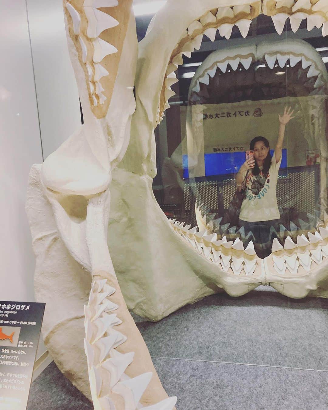 佐伯日菜子のインスタグラム：「物凄く興奮してて楽しいのにいまいち表情が虚無なのなんとかしたい。 #恐竜 #ホオジロザメ  #カブトガニ #夏休み  #おすすめスポット  #楽しい #撮影  #お休みの日」