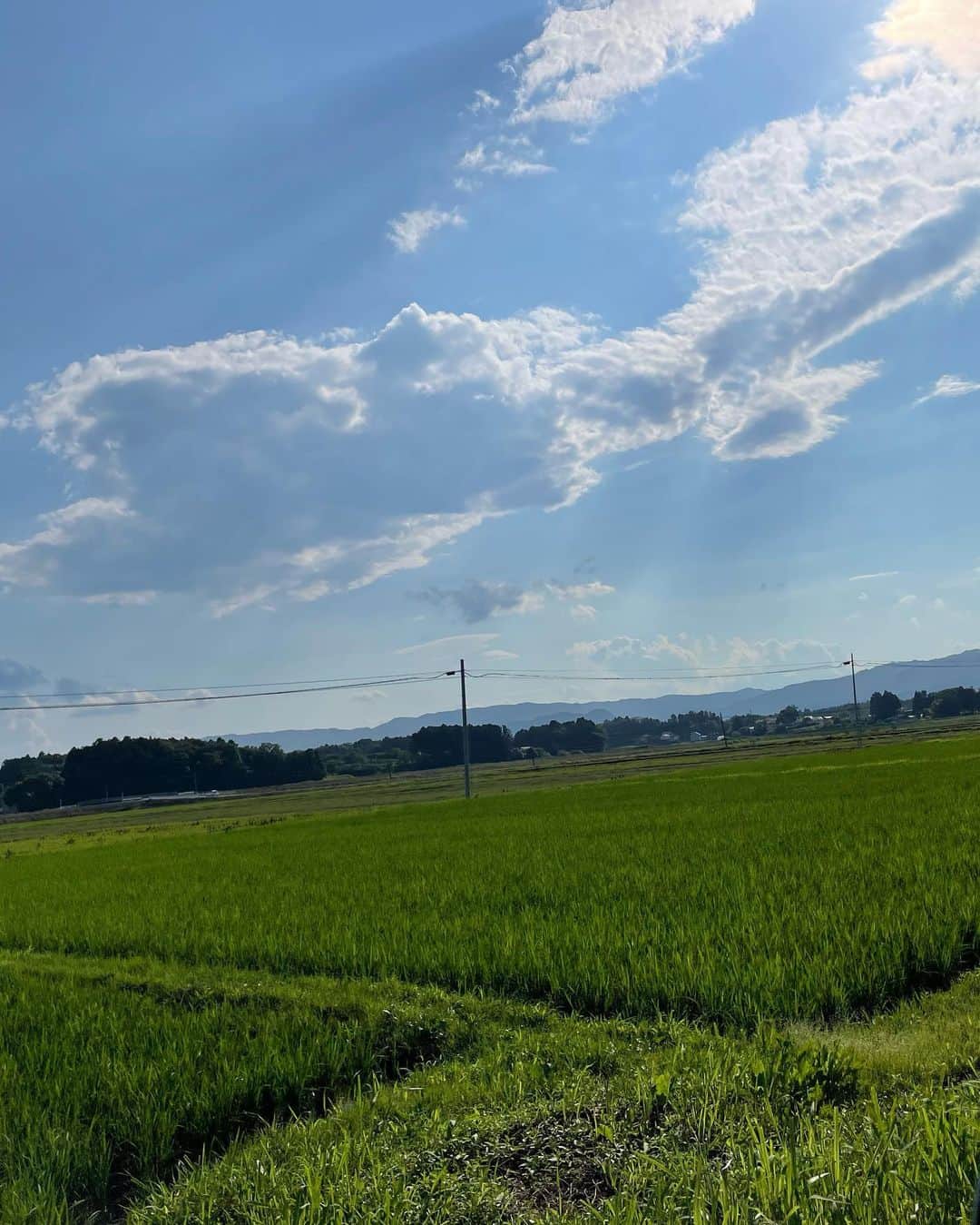 岸田繁さんのインスタグラム写真 - (岸田繁Instagram)7月1日 15時05分 - kishidashigeru