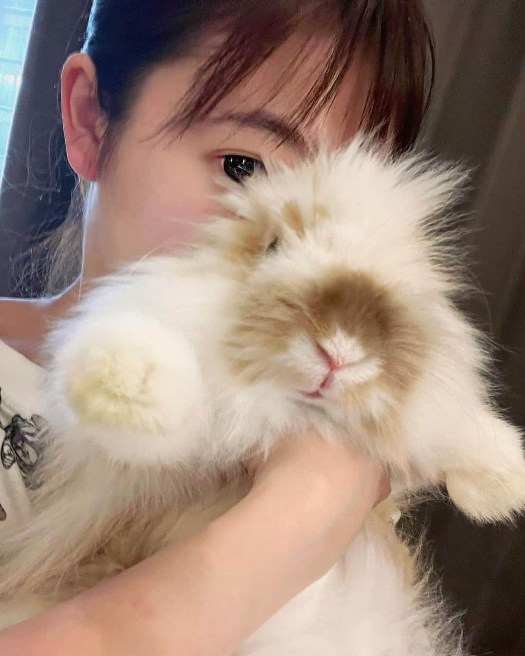 野澤美仁さんのインスタグラム写真 - (野澤美仁Instagram)「ミッフィ！ 🐰🐰🐰🐰🐰  ミサトーナイト！毎週金曜日22時から聴いてください！アプリListen Radioでも聴けます！  #FM88.5#listenradio #リスラジ #youtubelive #ミサトーナイト#cuteanimalshow#miffy#ミッフィー#animal #petstagram##funny #RABBIT#art#artist#pet#うさぎ #anime #アニメ」7月1日 15時37分 - misatonozawa0625