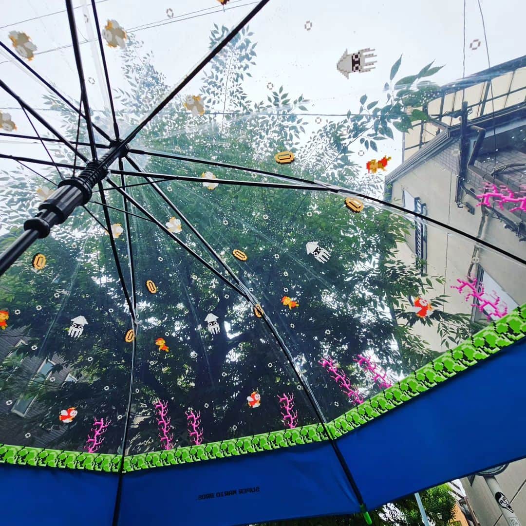 兎味ペロリナさんのインスタグラム写真 - (兎味ペロリナInstagram)「雨は好きじゃないんだけど、ちょっと楽しくなる傘  #supermario #mario #nintendo #umbrella #ninstagram」7月1日 16時20分 - perolina_usami