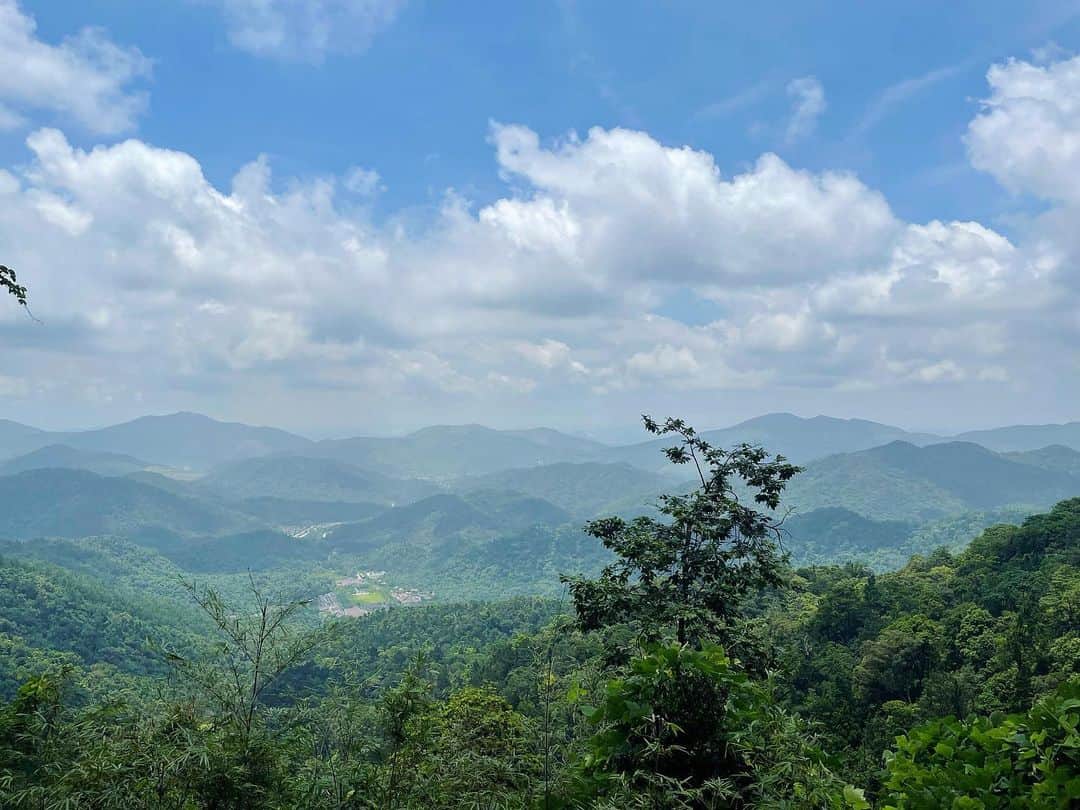 桐島かれんのインスタグラム：「今日は、ベトナム仏教の聖なる山、イエン・トウ山を登りました。  #yentu#vietnam#イエントウ」