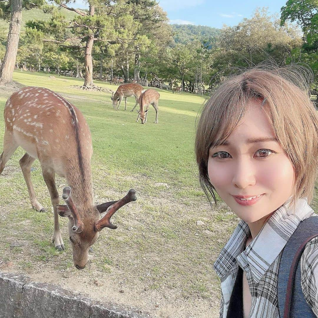 Arisa Nanaseさんのインスタグラム写真 - (Arisa NanaseInstagram)「⚠️アイビーじゃないです🤣笑 奈良公園の鹿ちゃんだよ🦌✨ 鹿せんべいあげたら、すぐお友達❤️3枚目の子鹿が可愛いすぎた😍でも子鹿は怖がってあげれなかった。 鹿にも強引なやついて、仲間を押しよけてくる子とかストーカーのようにあとずっとつけてくる子も😂噛んできたり、ツノ当たりそうになるから気をつけて❤️笑 道路とか普通に鹿いるのってよく考えたら世界的にも珍しいよね！ 外国人めっちゃいた😳 #シカ　#奈良公園　#鹿せんべい　#東大寺　#近鉄奈良　#シカと目が合う #子鹿」7月1日 17時29分 - arisa.nanase