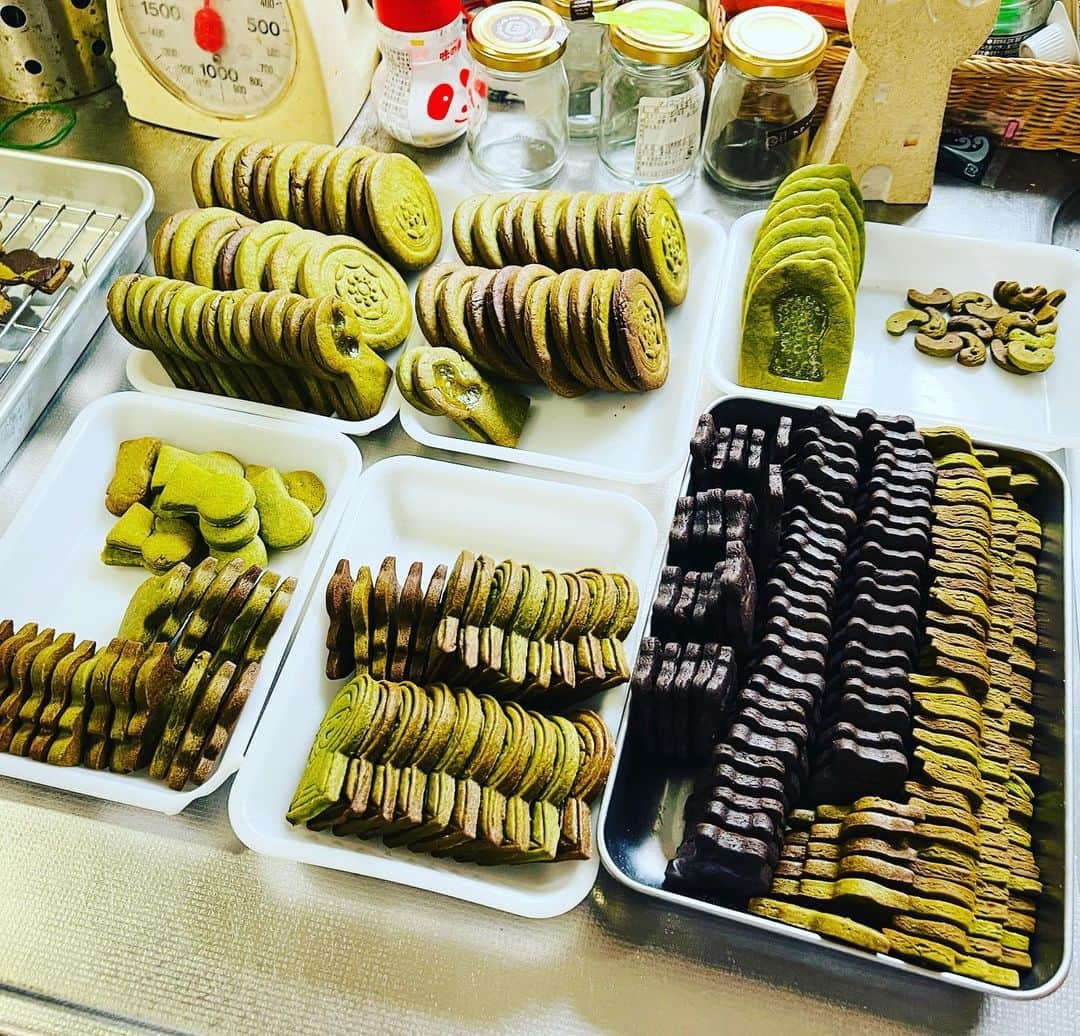 水谷さるころのインスタグラム：「先週末のクッキー屋さんをやったあまり生地を焼いた。自宅で作ったものは売れないのでこれは全部、親族友人にお裾分け。3番4番生地（2回以上すでに型抜きされた生地）だけでこんなにあまりが…！　売り物よりちょいと固いです。てか、3時間くらいで小さいクッキー含めて200枚くらい焼けるスキルを身につけており（型抜きの異様な速さ）、人はなんでもスキルアップするんだなぁと思った。」