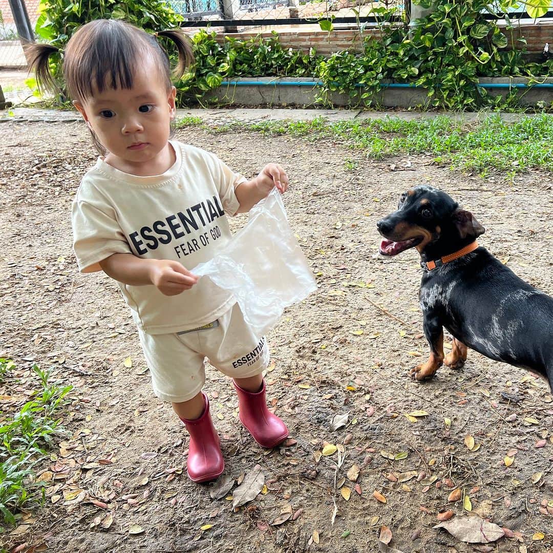 Hoykong&Plamuekさんのインスタグラム写真 - (Hoykong&PlamuekInstagram)「KuaGling with little human ❤️  คั่วกลิ้งกับน้องเมย  #dachshund #doxielove #littlegirl #dogandkids」7月1日 17時43分 - hoykongplamuek