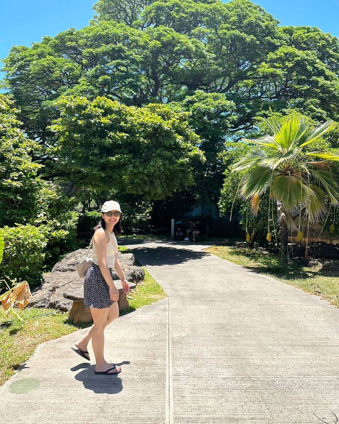 姫歌ひな乃のインスタグラム：「自然好き🍃🦒  #honoluluzoo #hawaii」