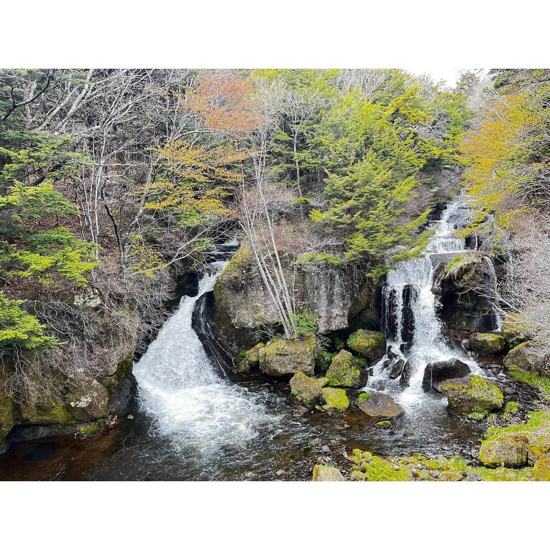 有村智恵さんのインスタグラム写真 - (有村智恵Instagram)「いつかの栃木。 お仕事の帰りに日光へ。 アメリカ時代に貯まったポイントで、日光のリッツカールトンに宿泊しました😍 母に還暦祝いとしてプレゼント出来てよかったです。  あまりにも素敵だったから、動画作ってみた😁  #日光 #リッツカールトン日光 #栃木 #日光東照宮 #有村観光」7月1日 18時26分 - chiearimura